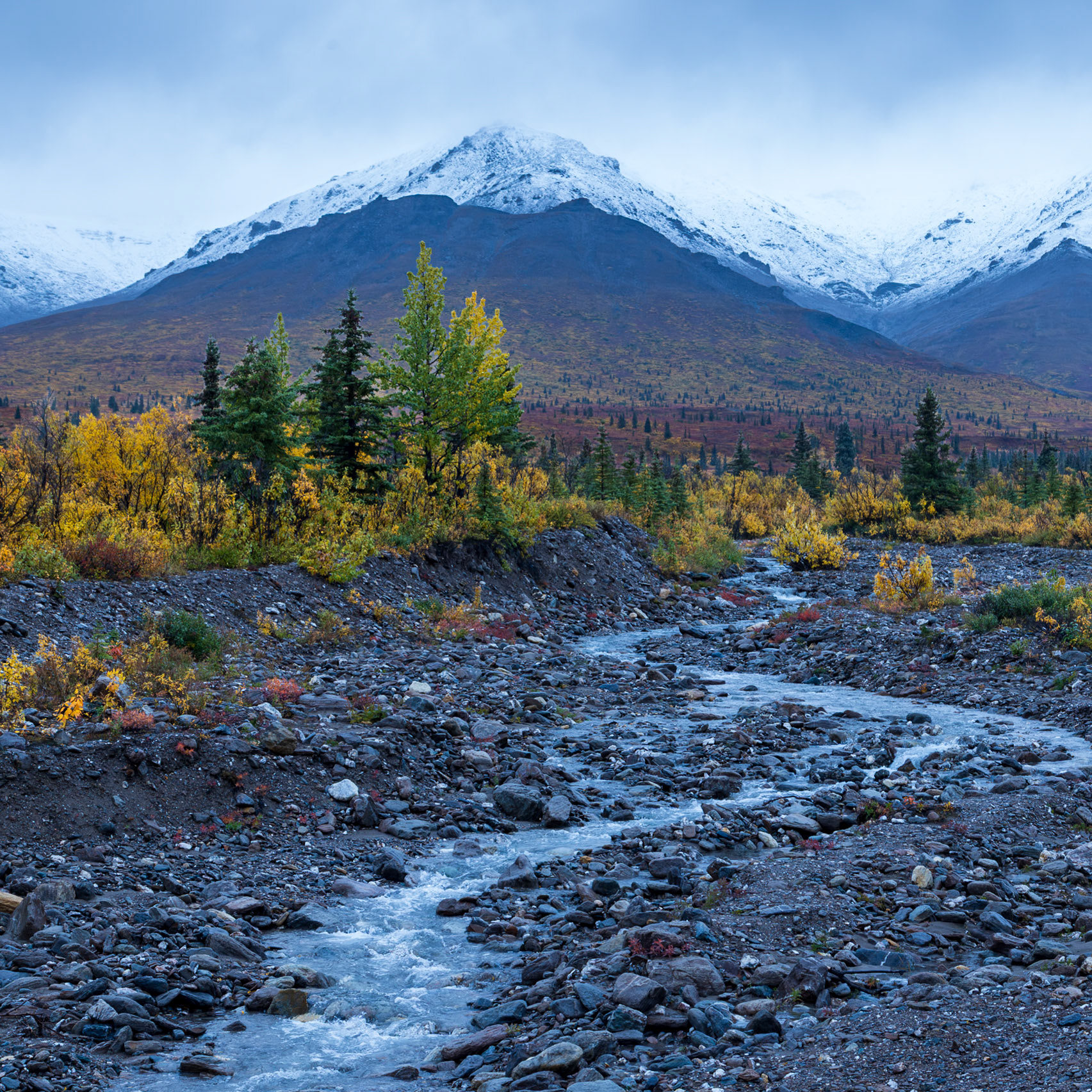 Denali National Park