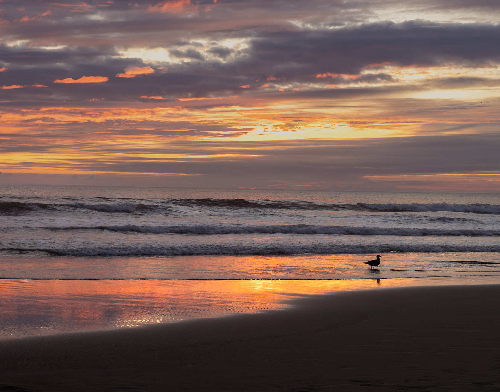 Oregon Coast