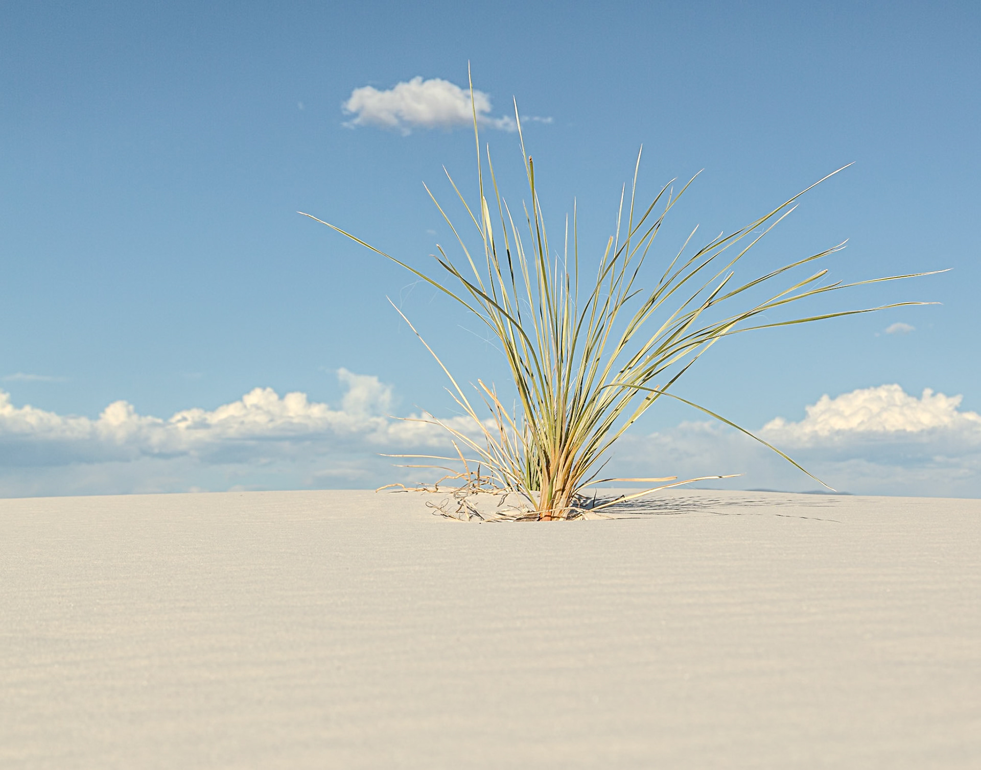 White Sands National Park