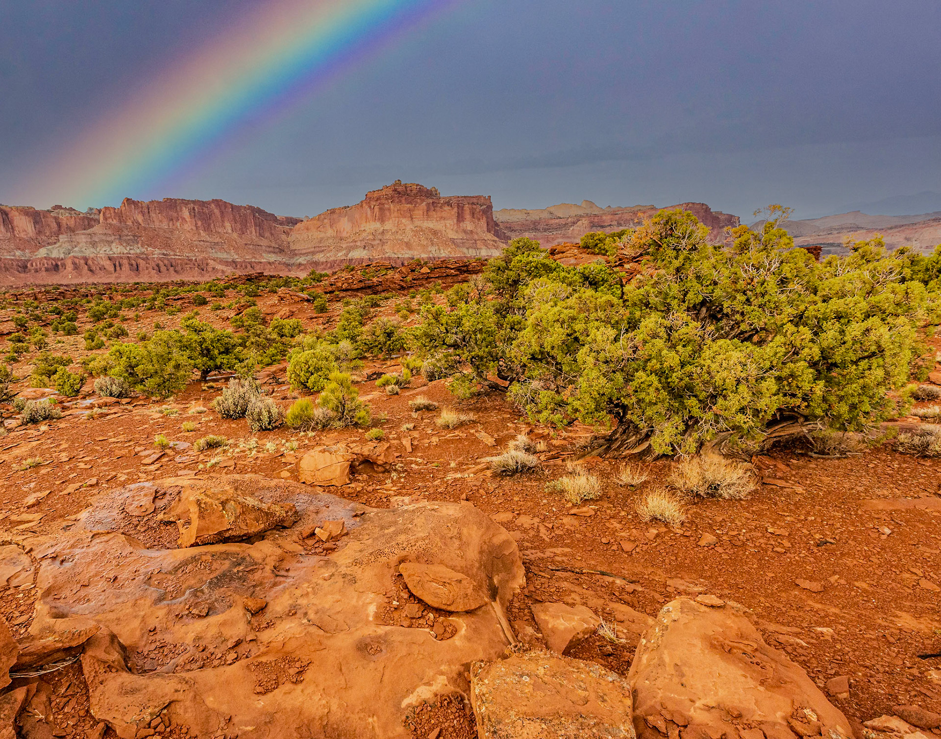 Capitol Reef National Park