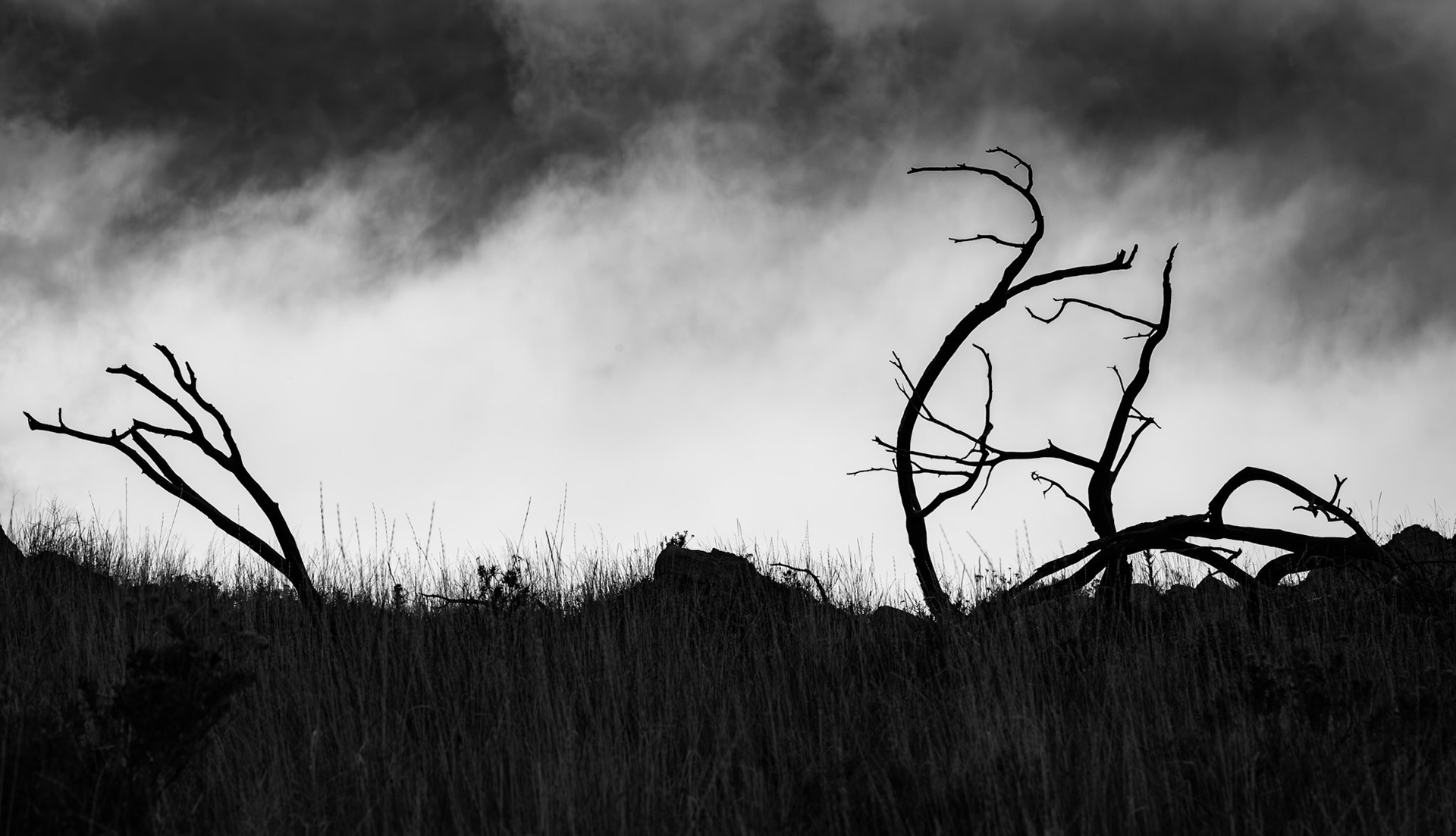 Antelope Island, Great Salt Lake