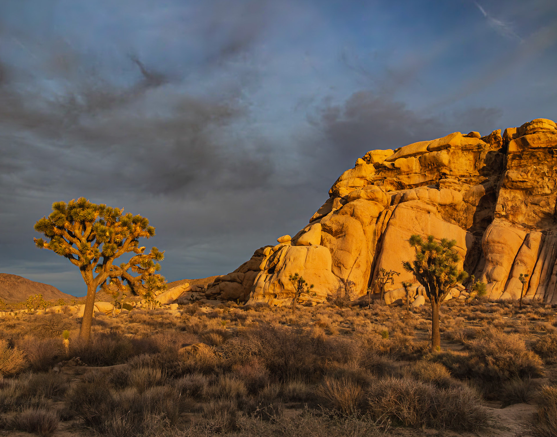 Joshua Tree National Park 