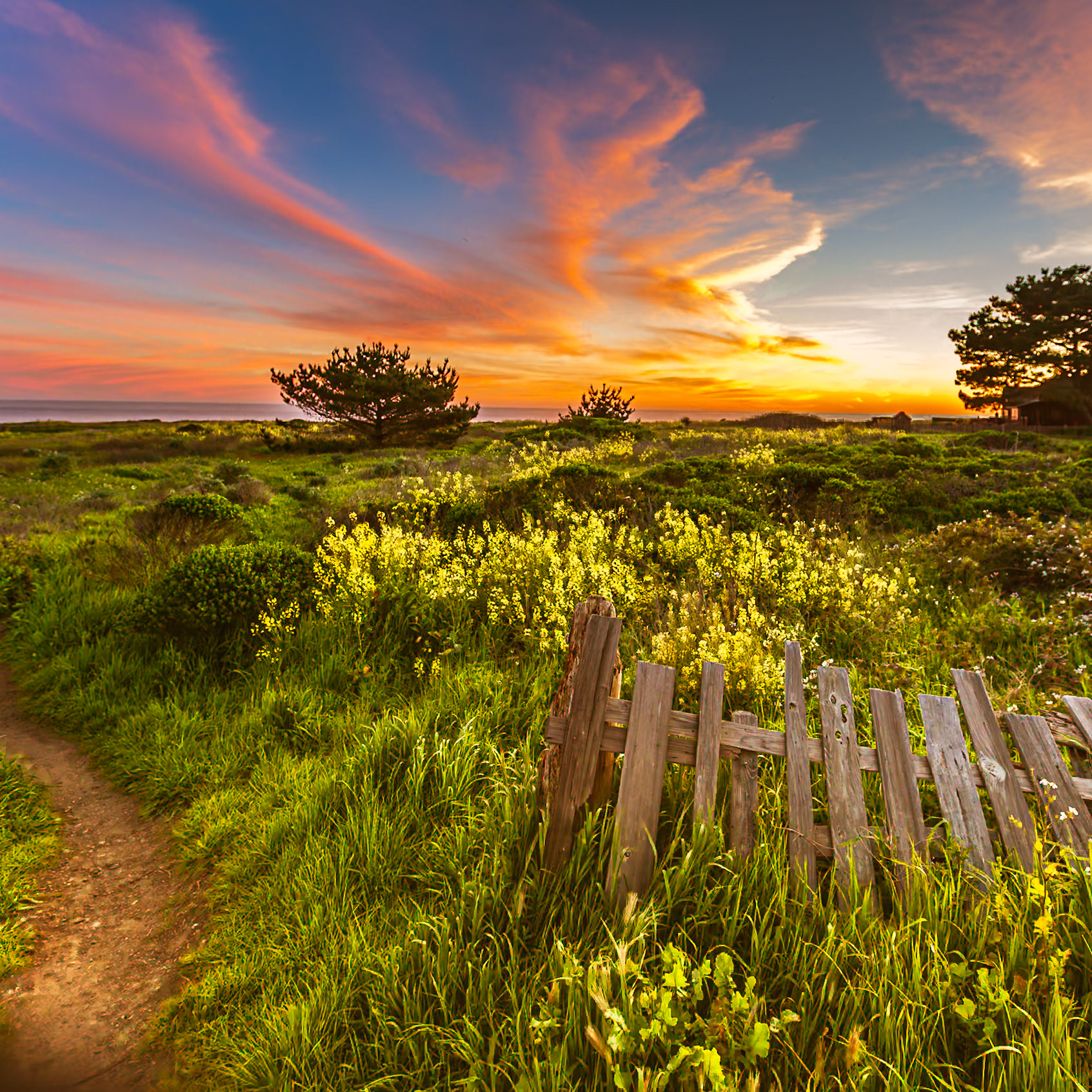 Northern California