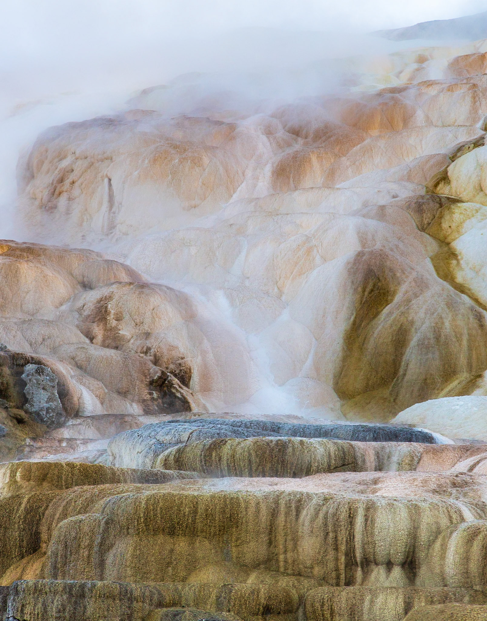 Yellowstone National Park