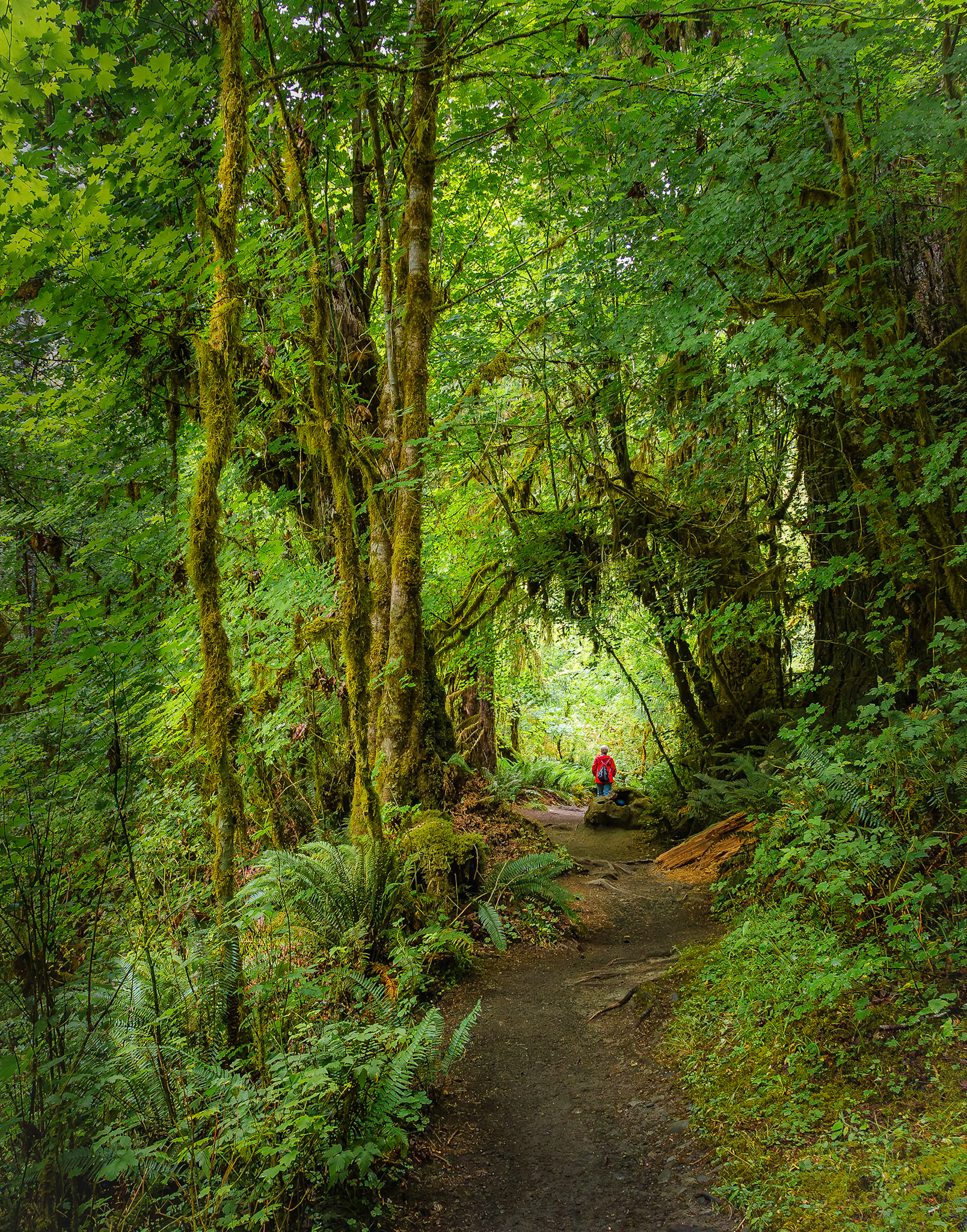 Olympic National Park