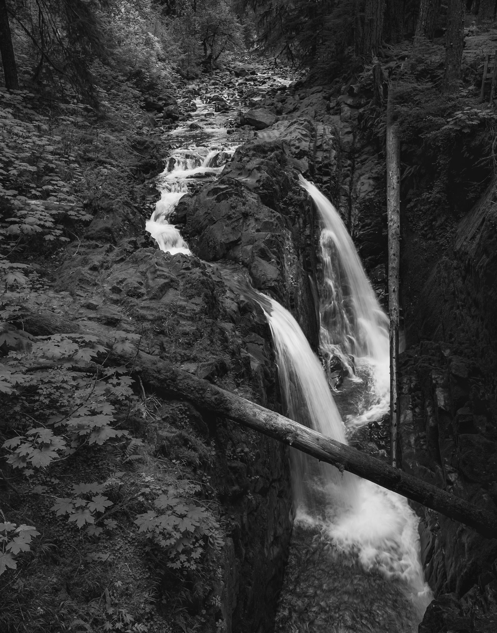 Olympic National Park