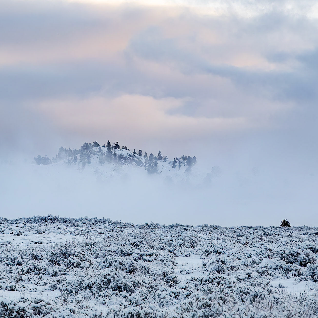 Yellowstone National Park
