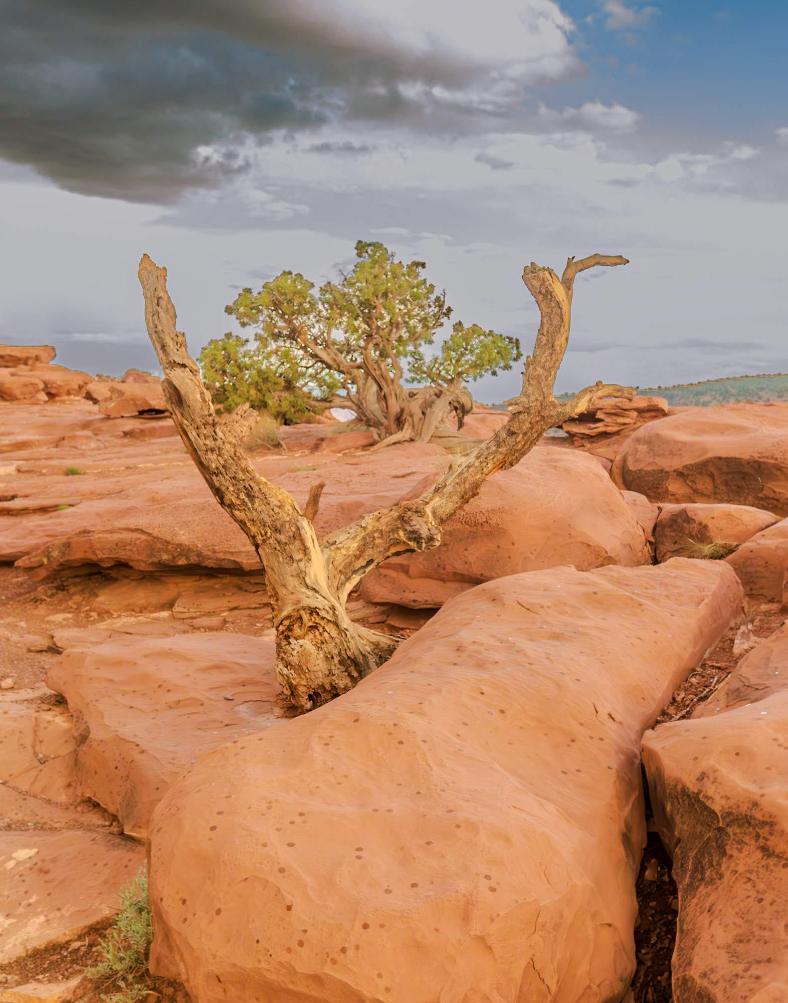 Capitol Reef National Park