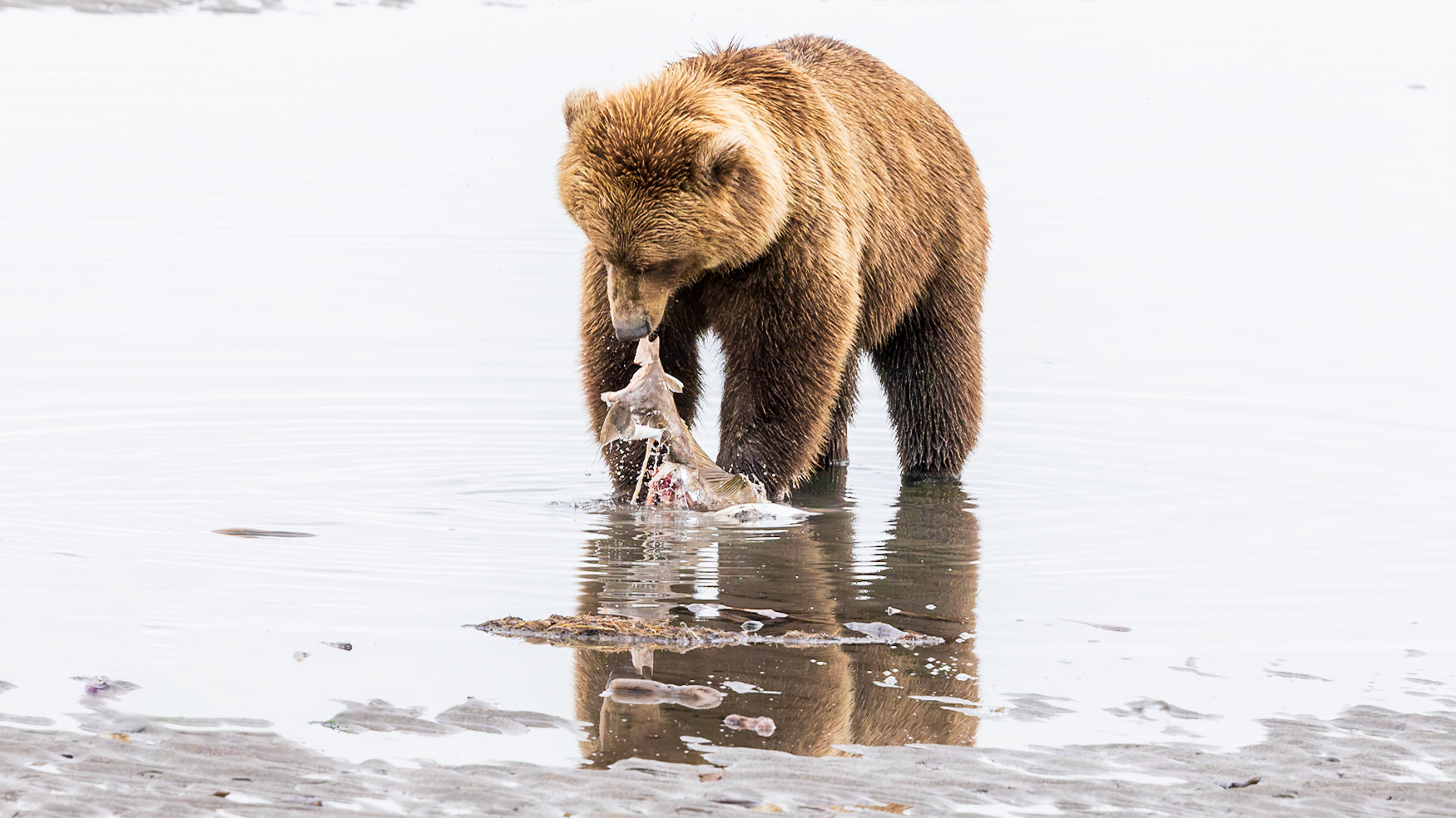 Lake Clark National Park