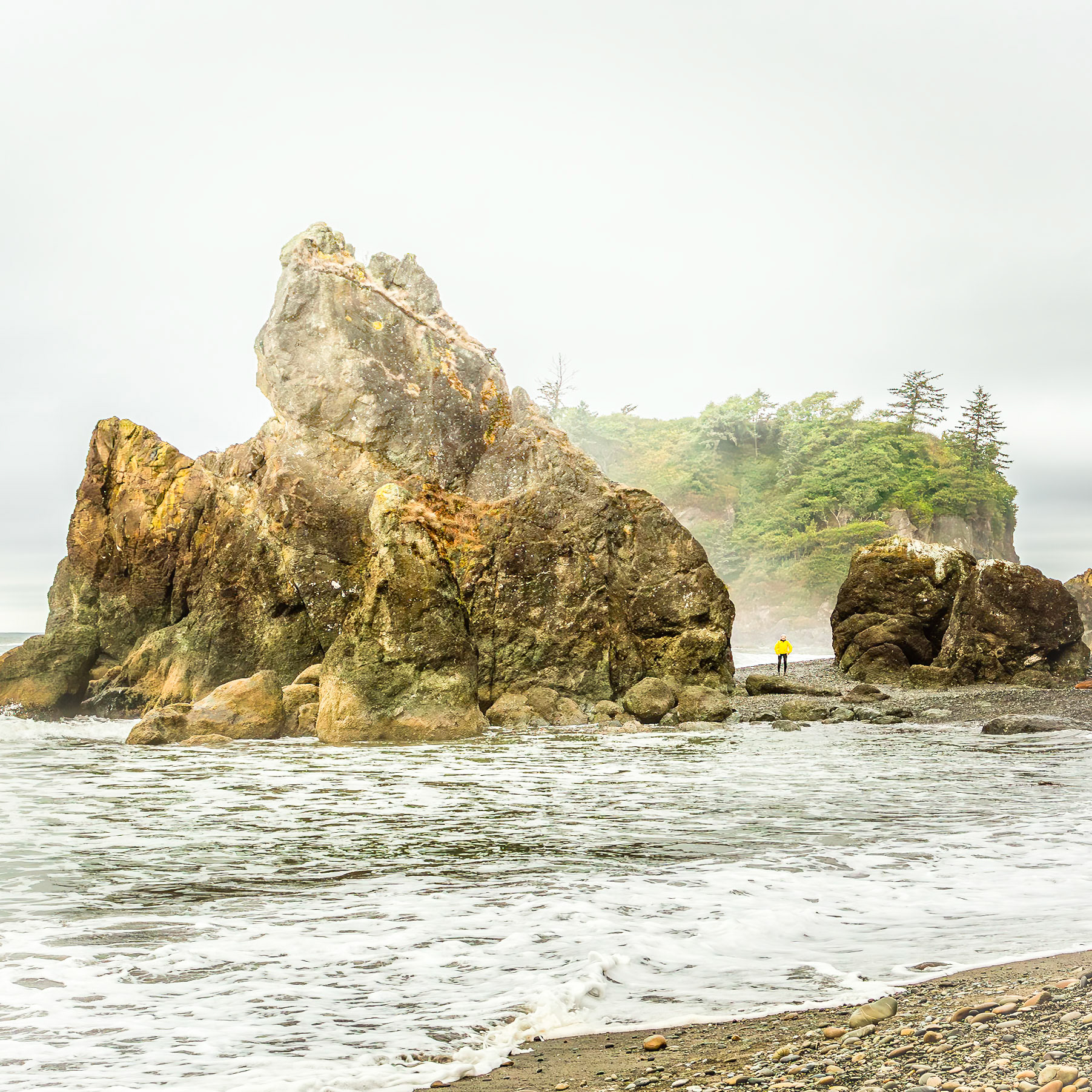 Olympic National Park 