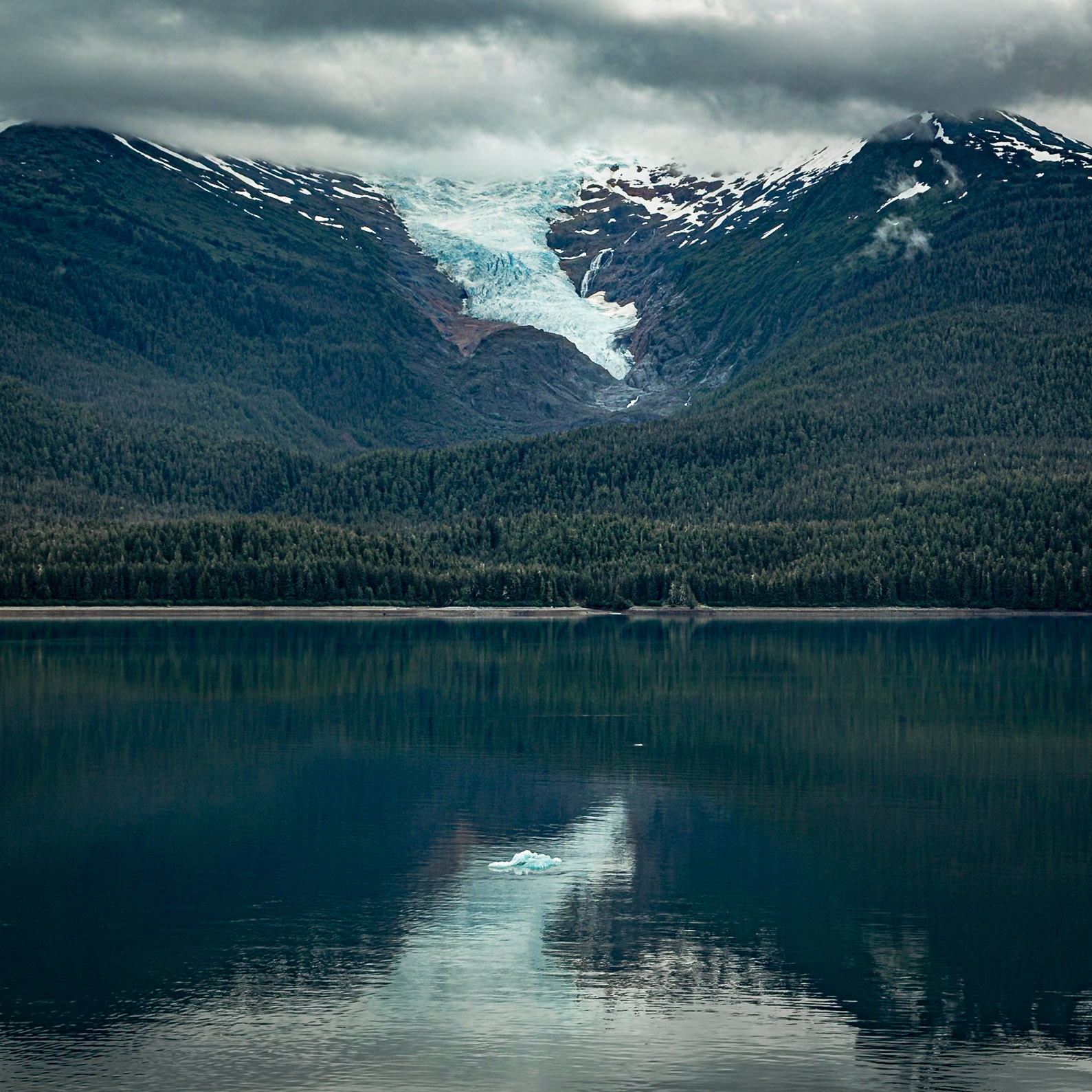 LeConte Glacier, in Tongass National Forest