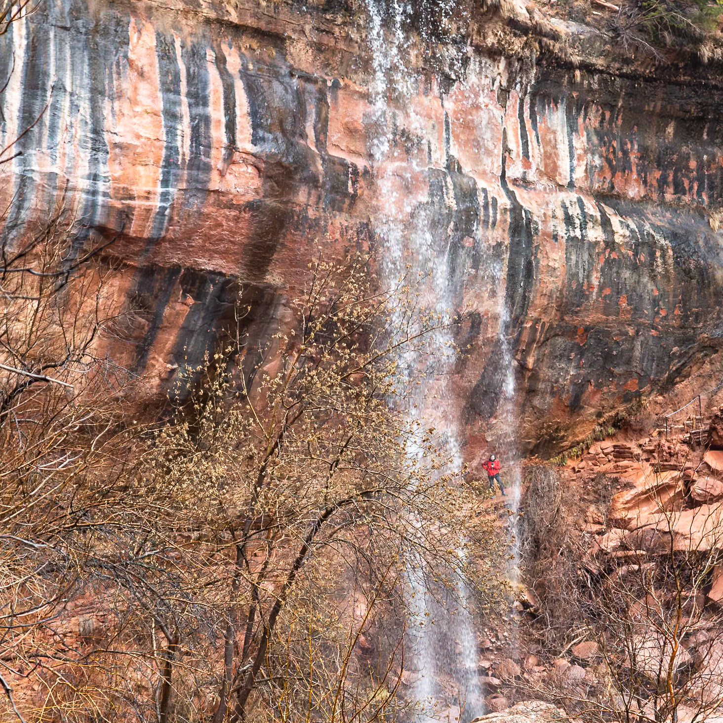 Zion National Park
