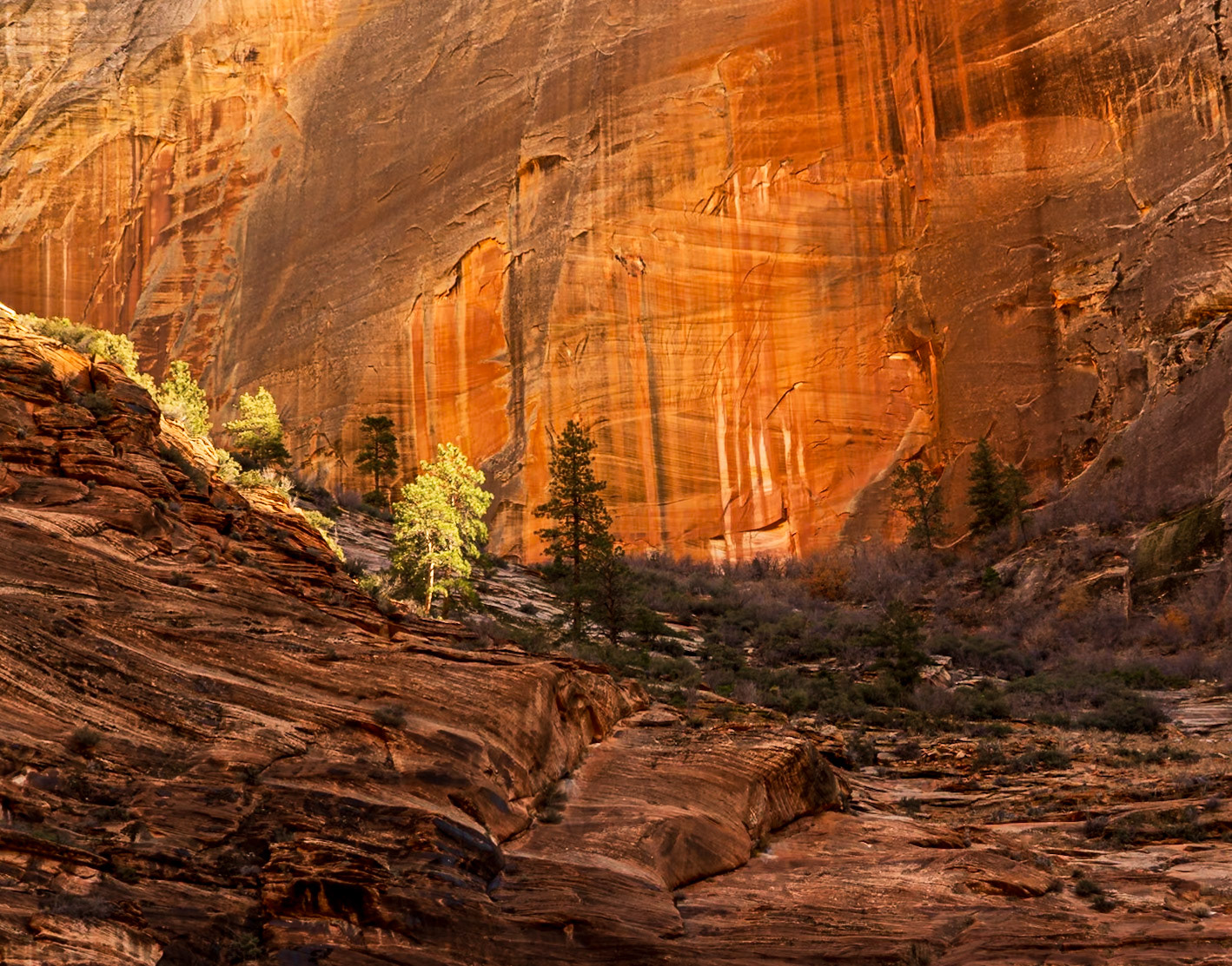 Zion National Park