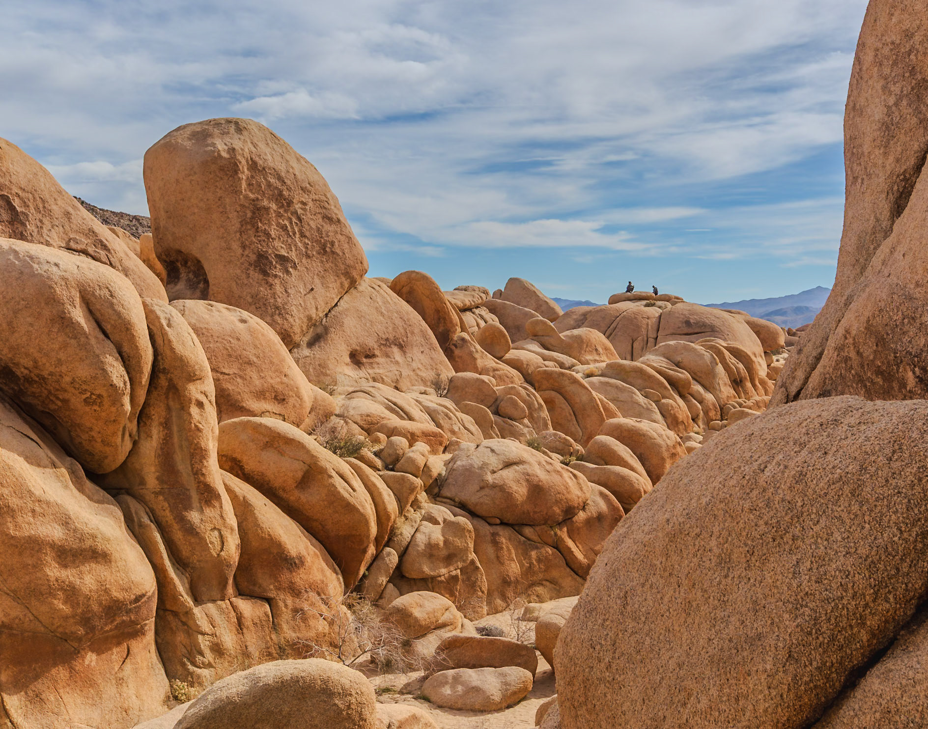 Joshua Tree National Park 