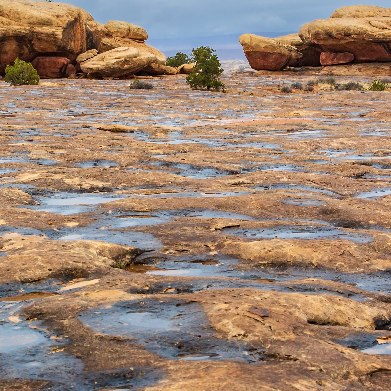 Capitol Reef National Park