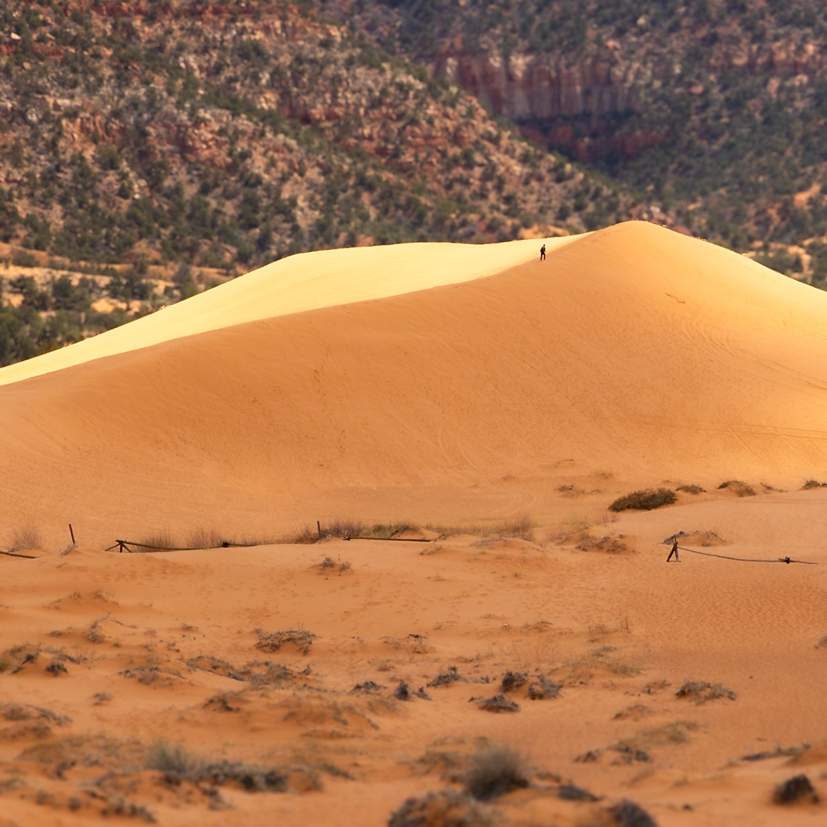 Coral Pink Sand Dunes State Park