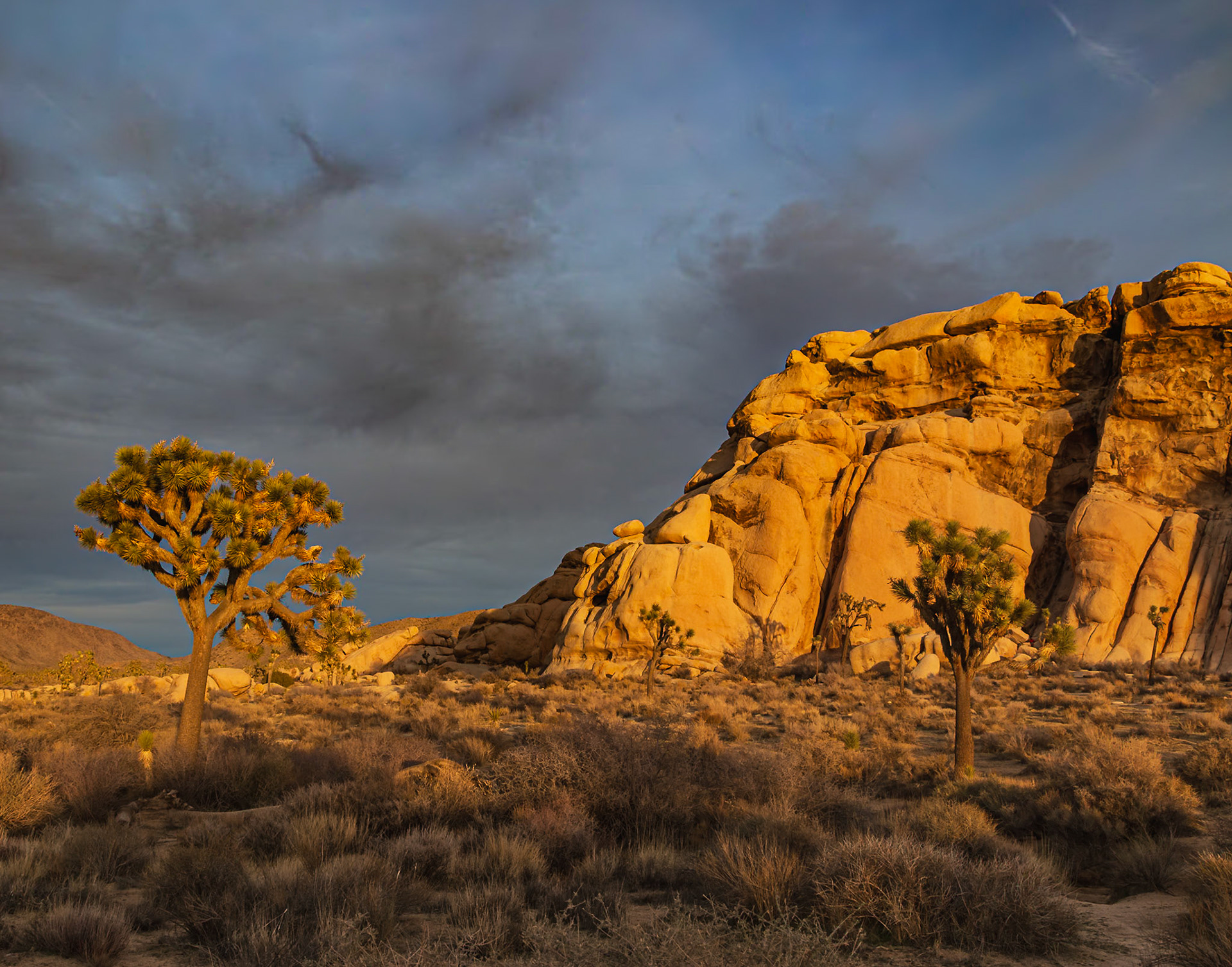 Joshua Tree National Park