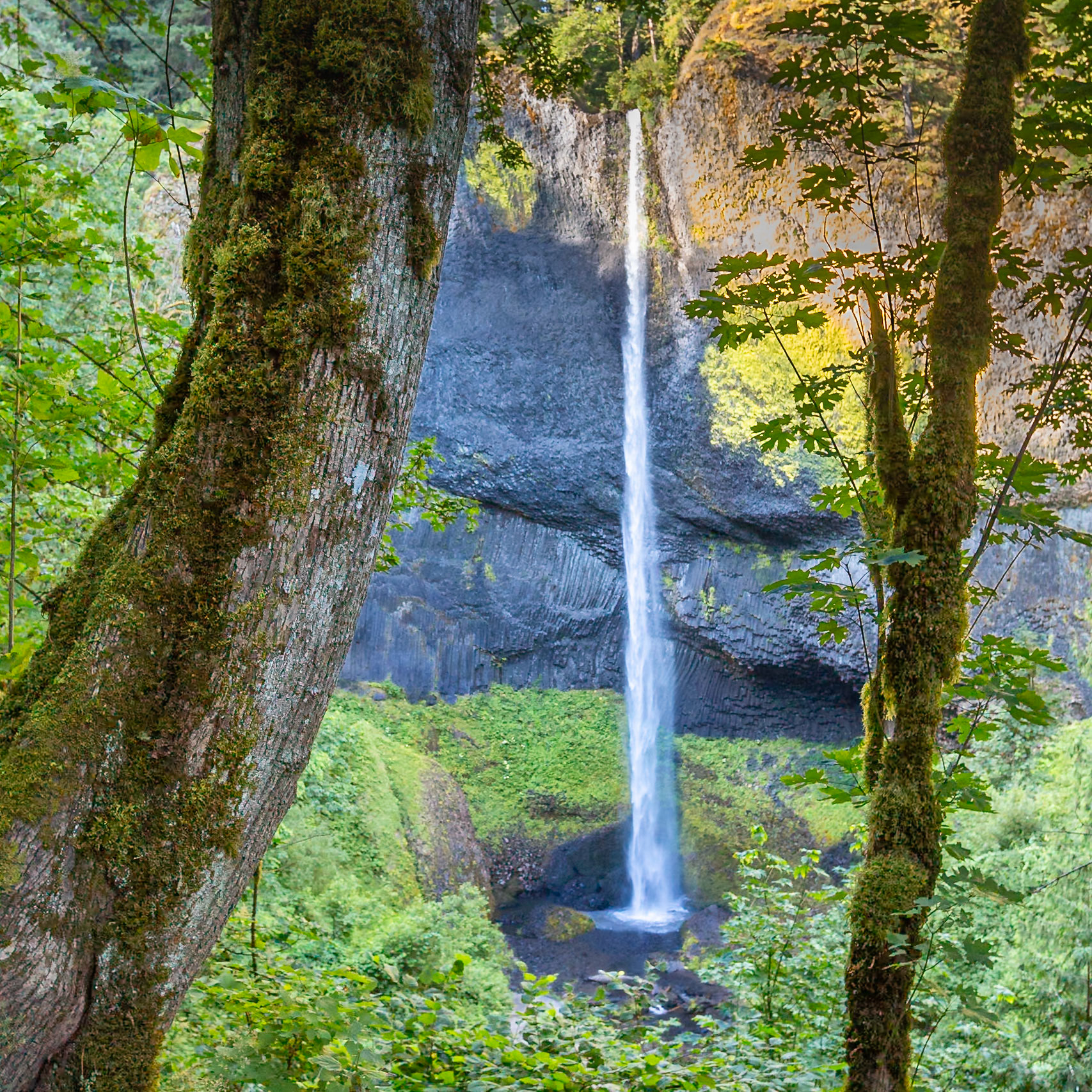 Latourell Falls, Oregon 