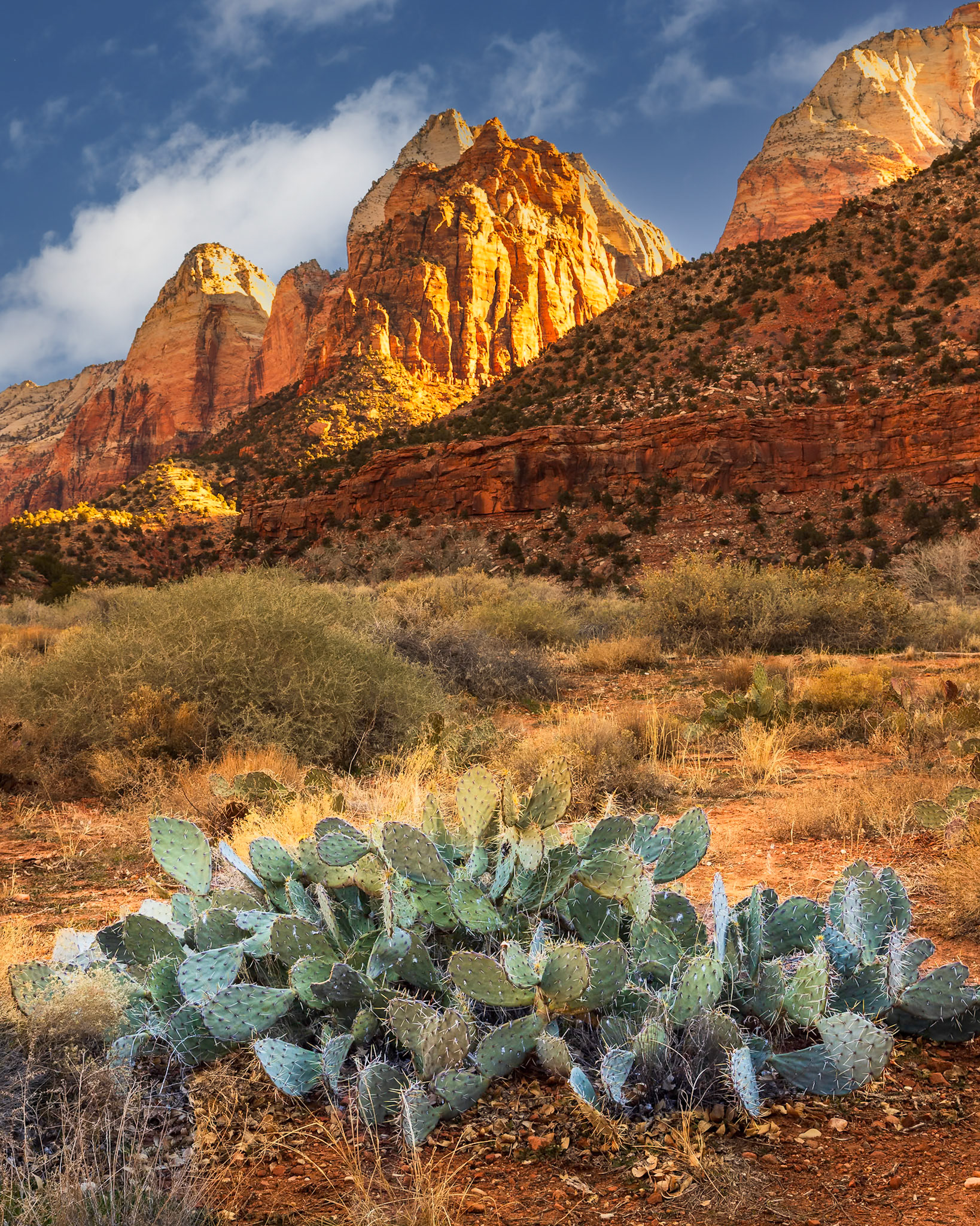 Zion National Park