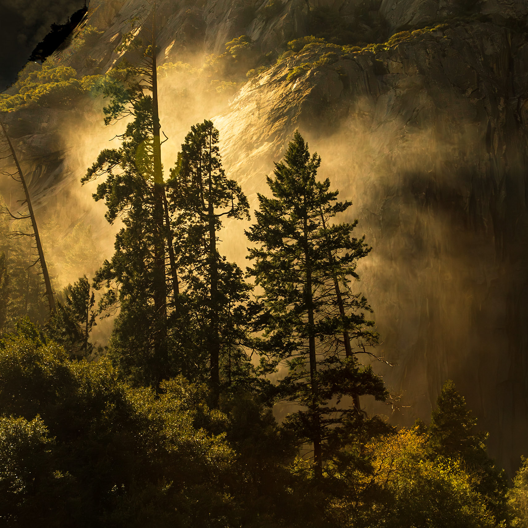 Yosemite National Park 
