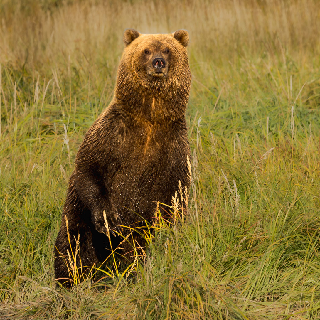 Lake Clark National Park