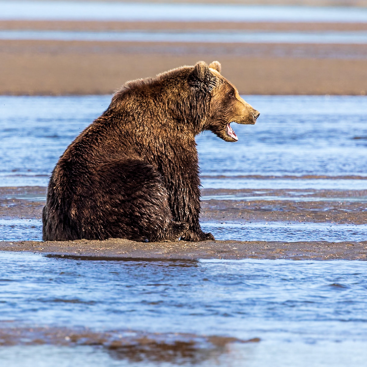 Lake Clark National Park 