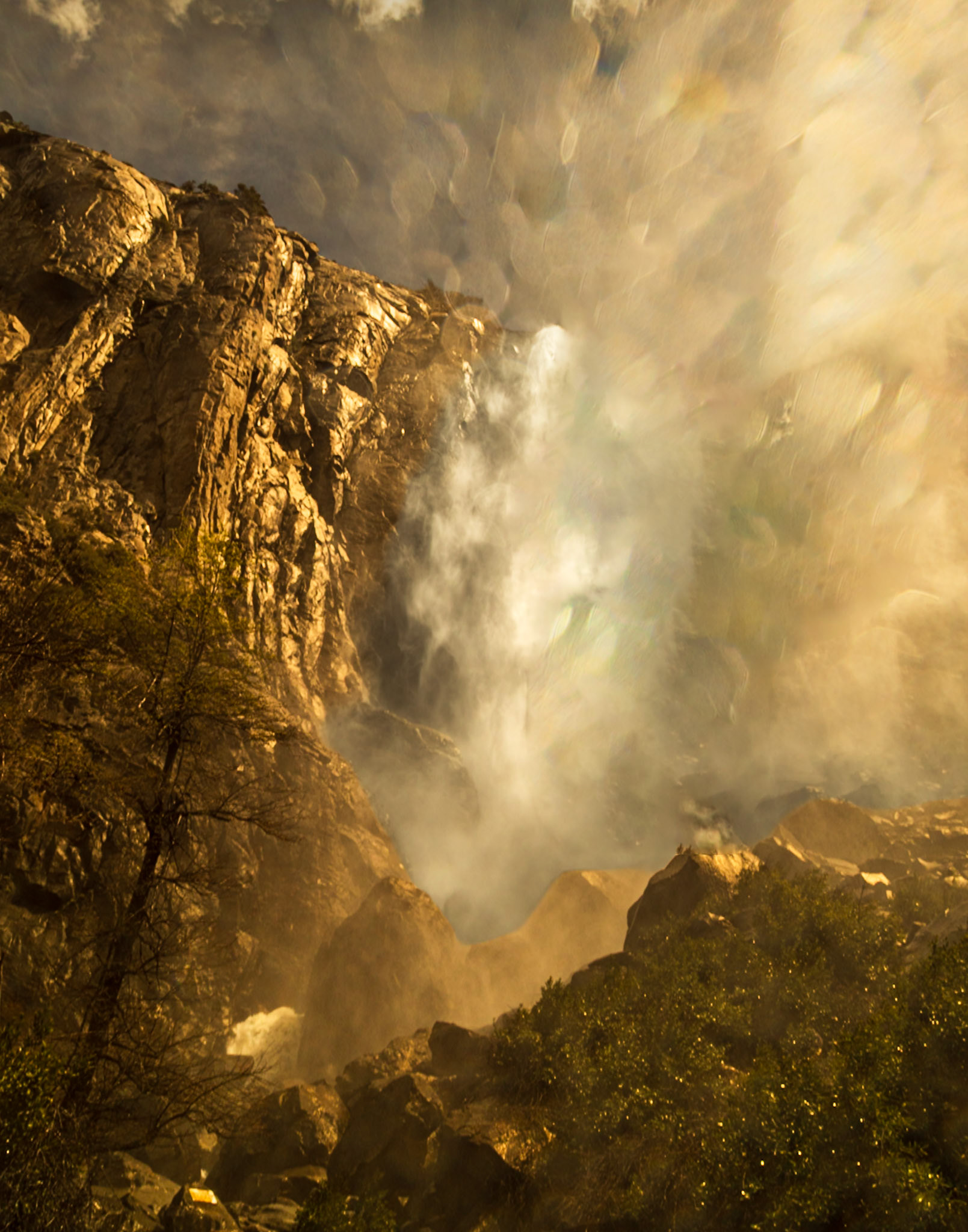 Yosemite National Park