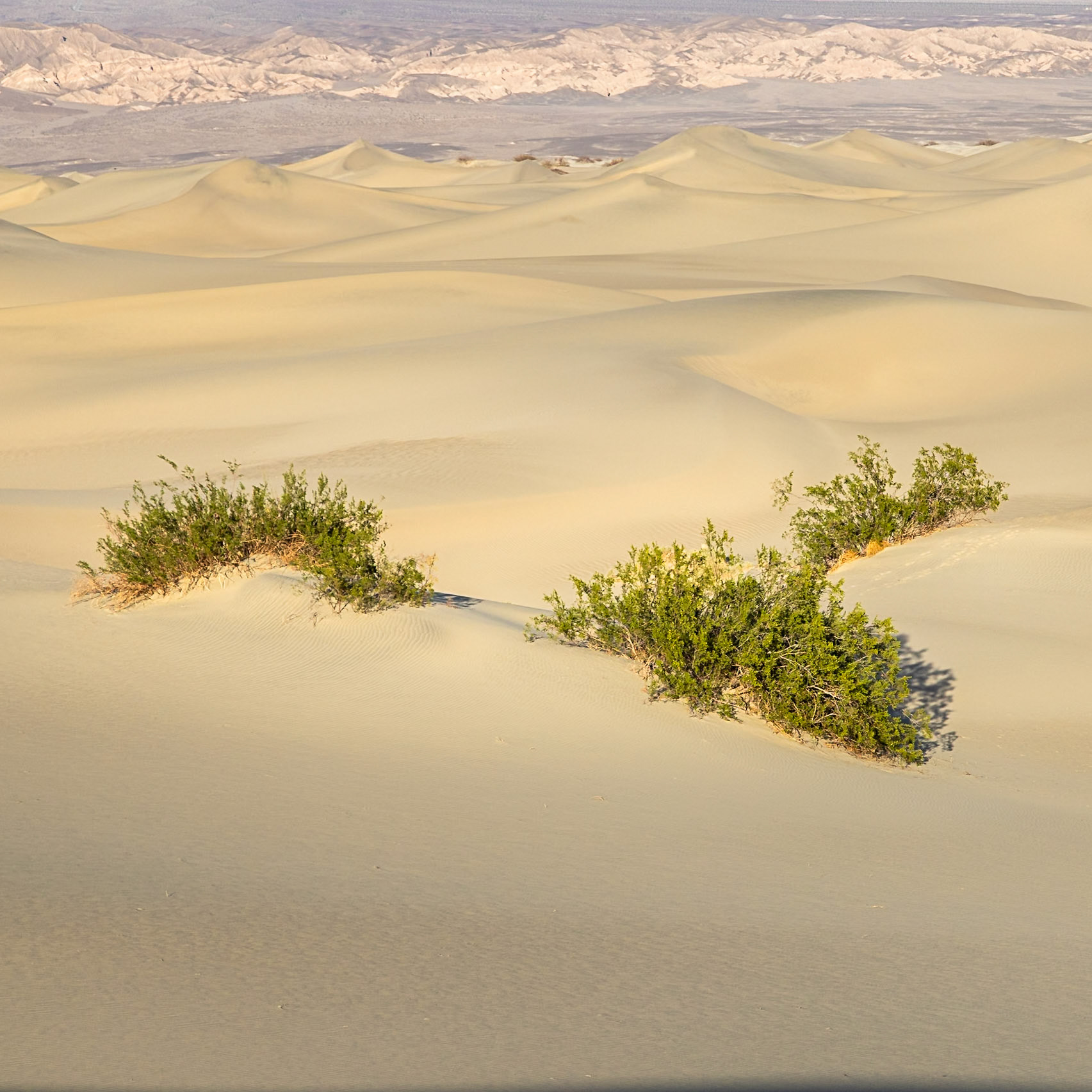 Death Valley National Park