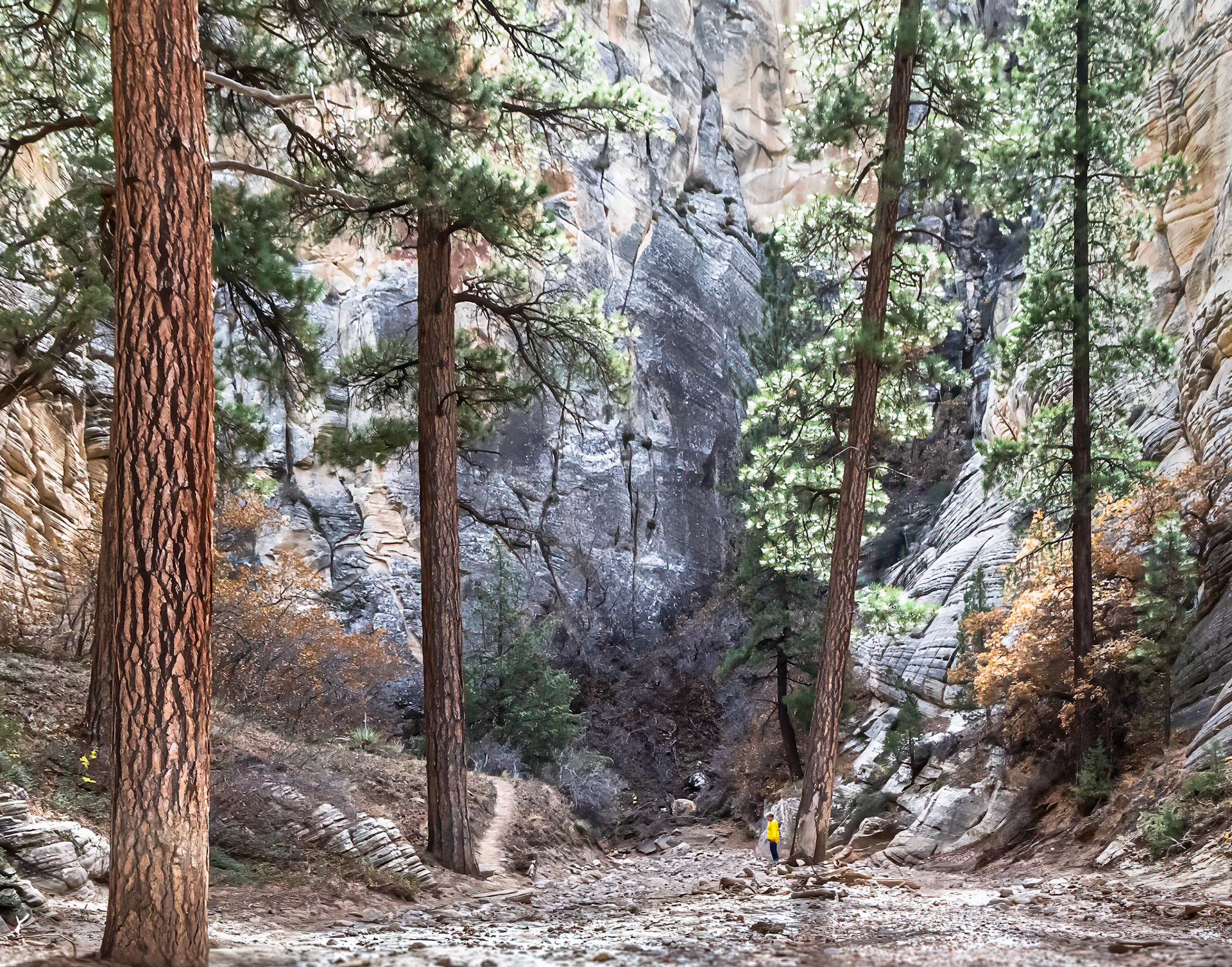 Grand Staircase-Escalante National Monument