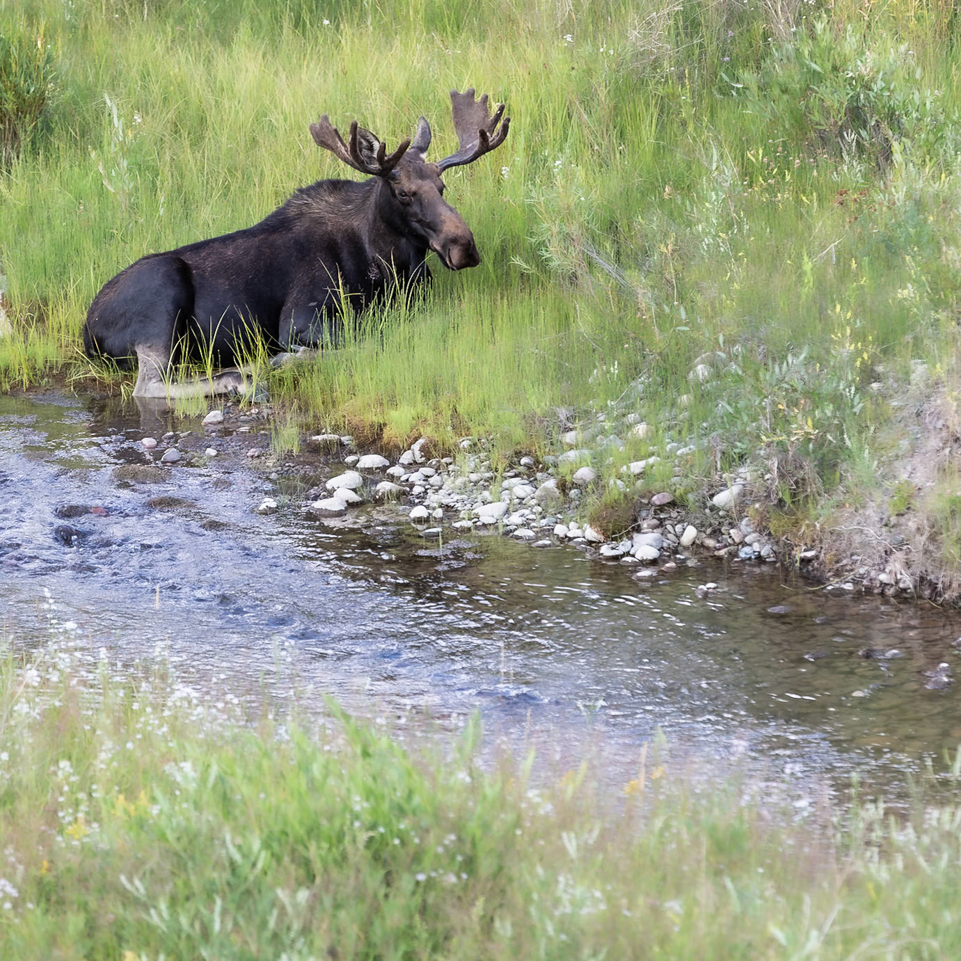 Grand Teton National Park