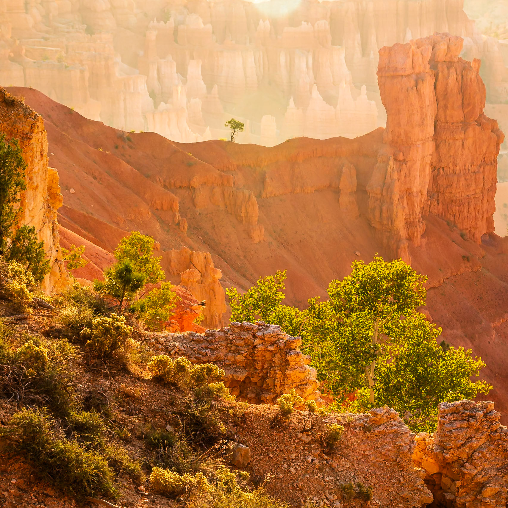 Bryce Canyon National Park