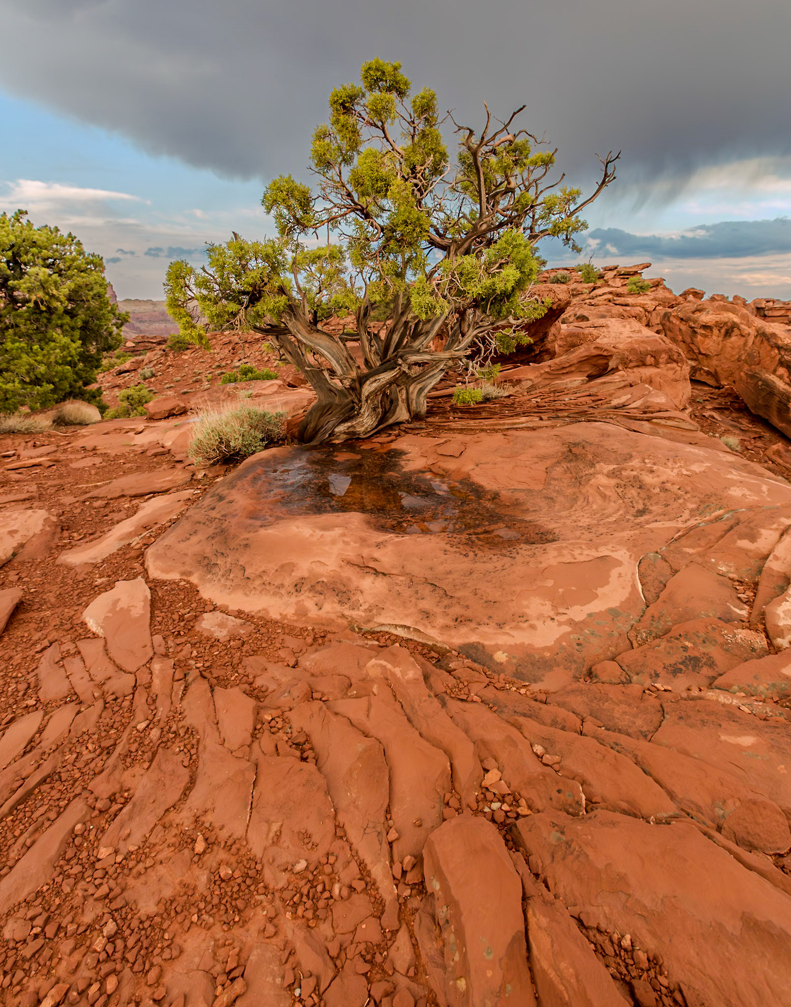 Capitol Reef National Park