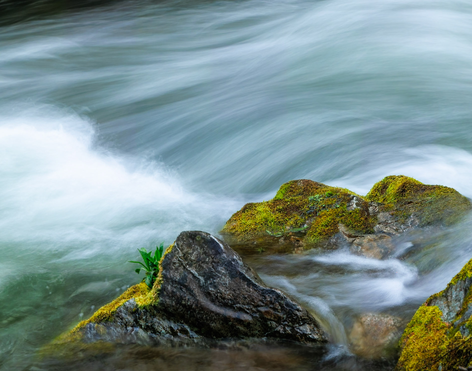 Rapid River, near Riggins, Idaho