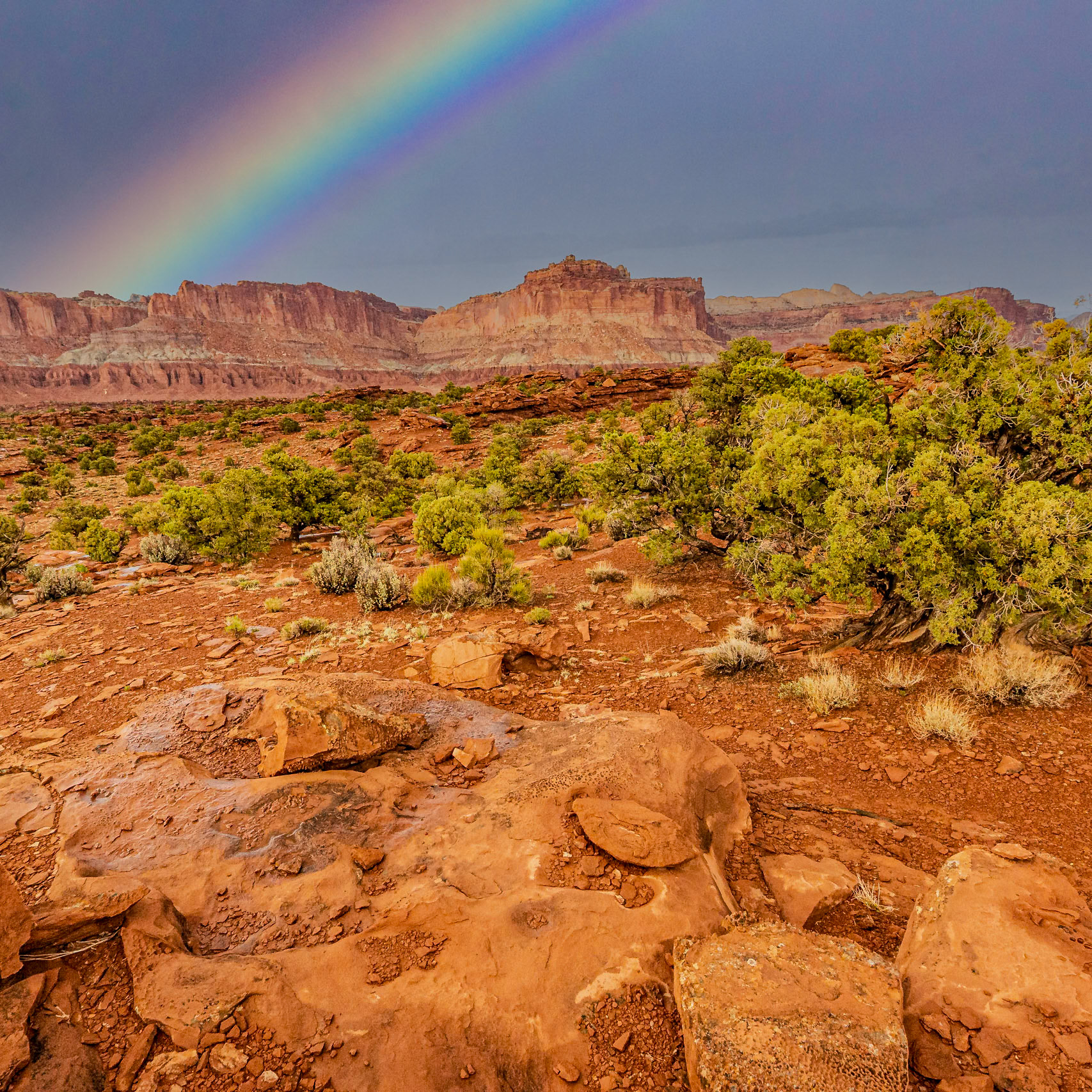 Capitol Reef National Park