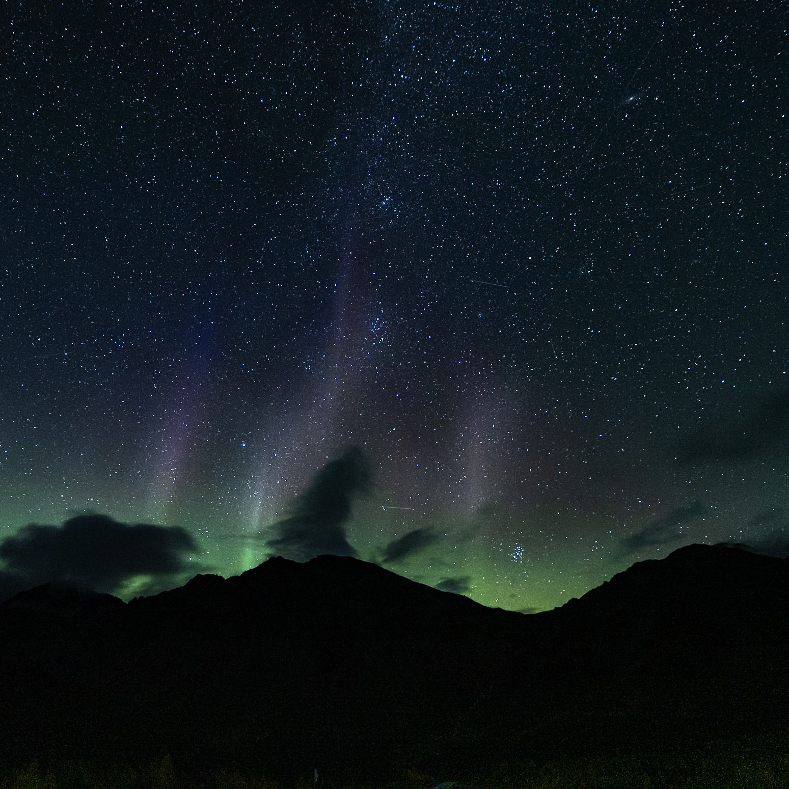 Dear Delta Junction, Alaska