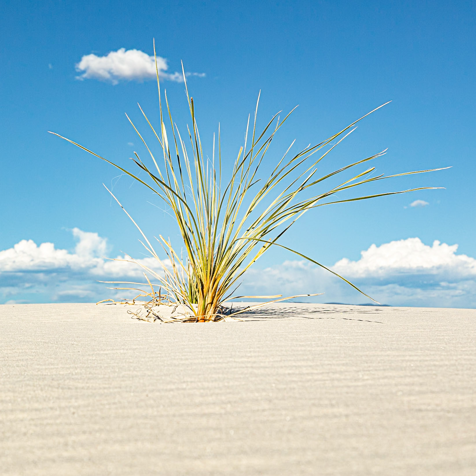 White Sands National Park