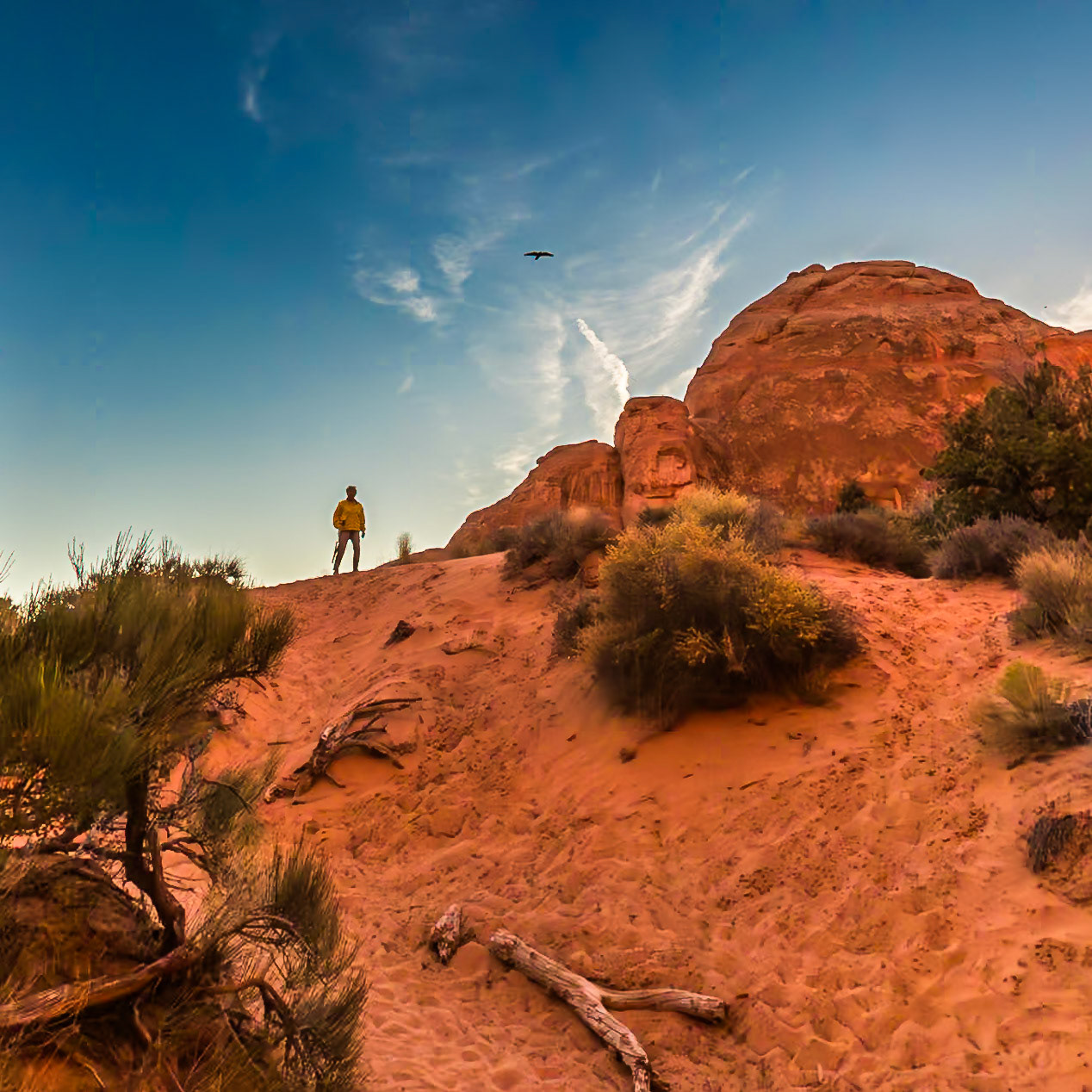 Arches National Park