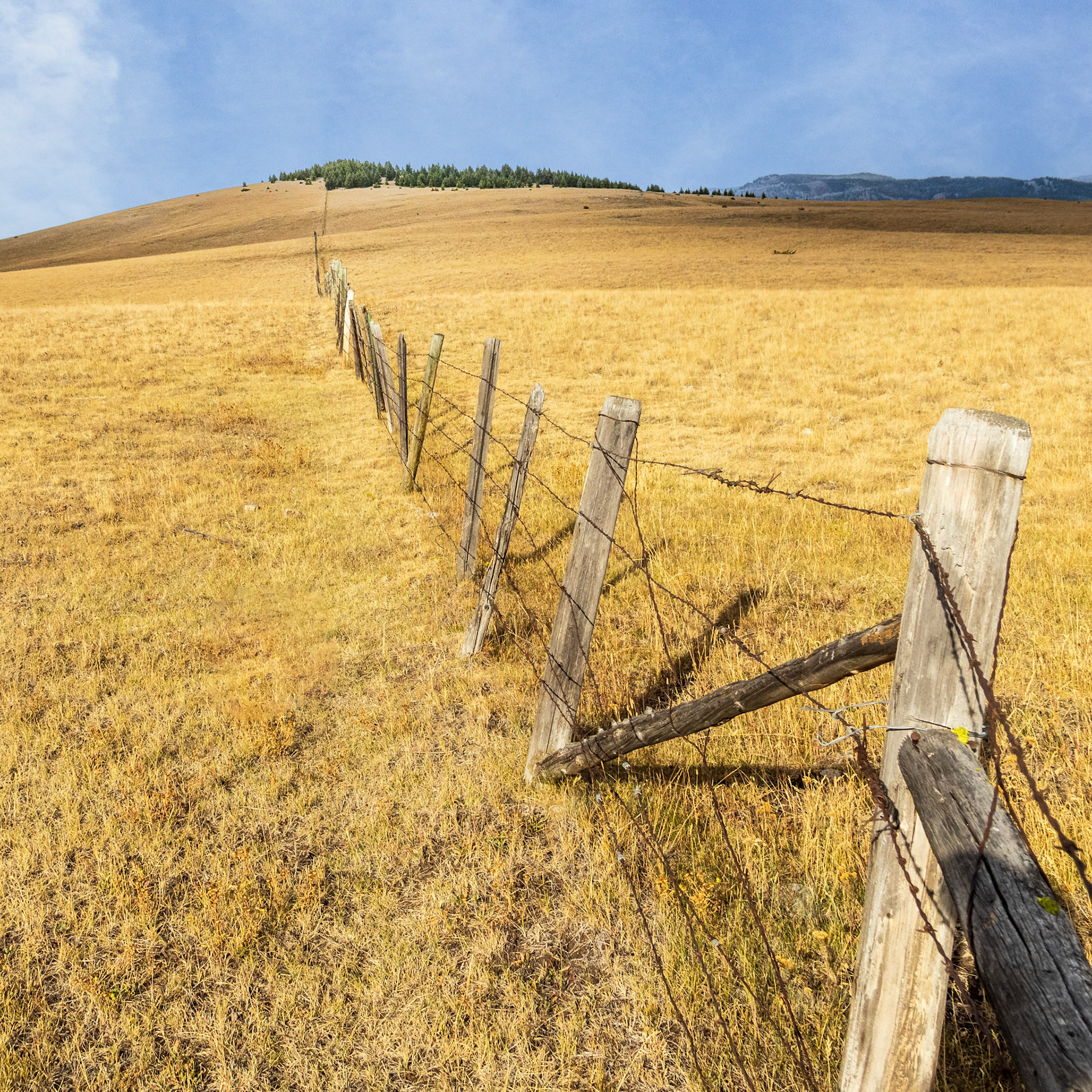 On the way to Glacier National Park