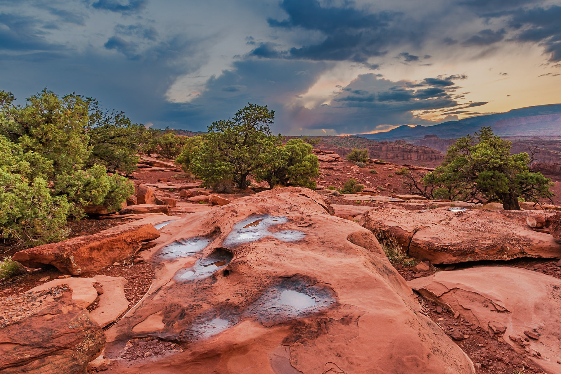 Capitol Reef National Park