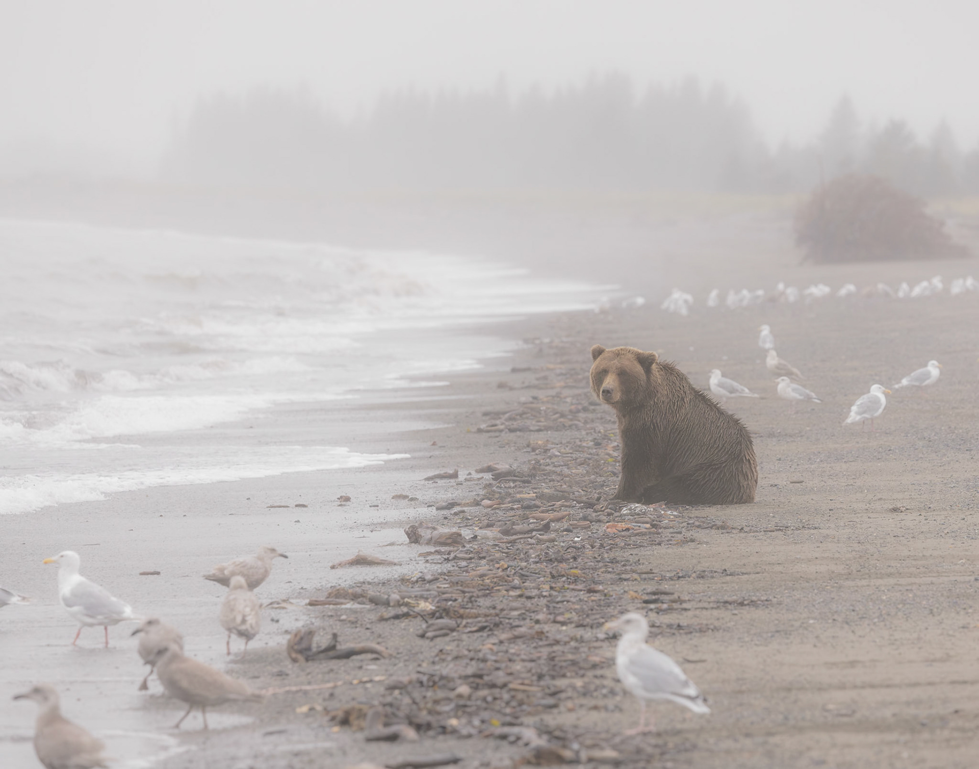 Lake Clark National Park 