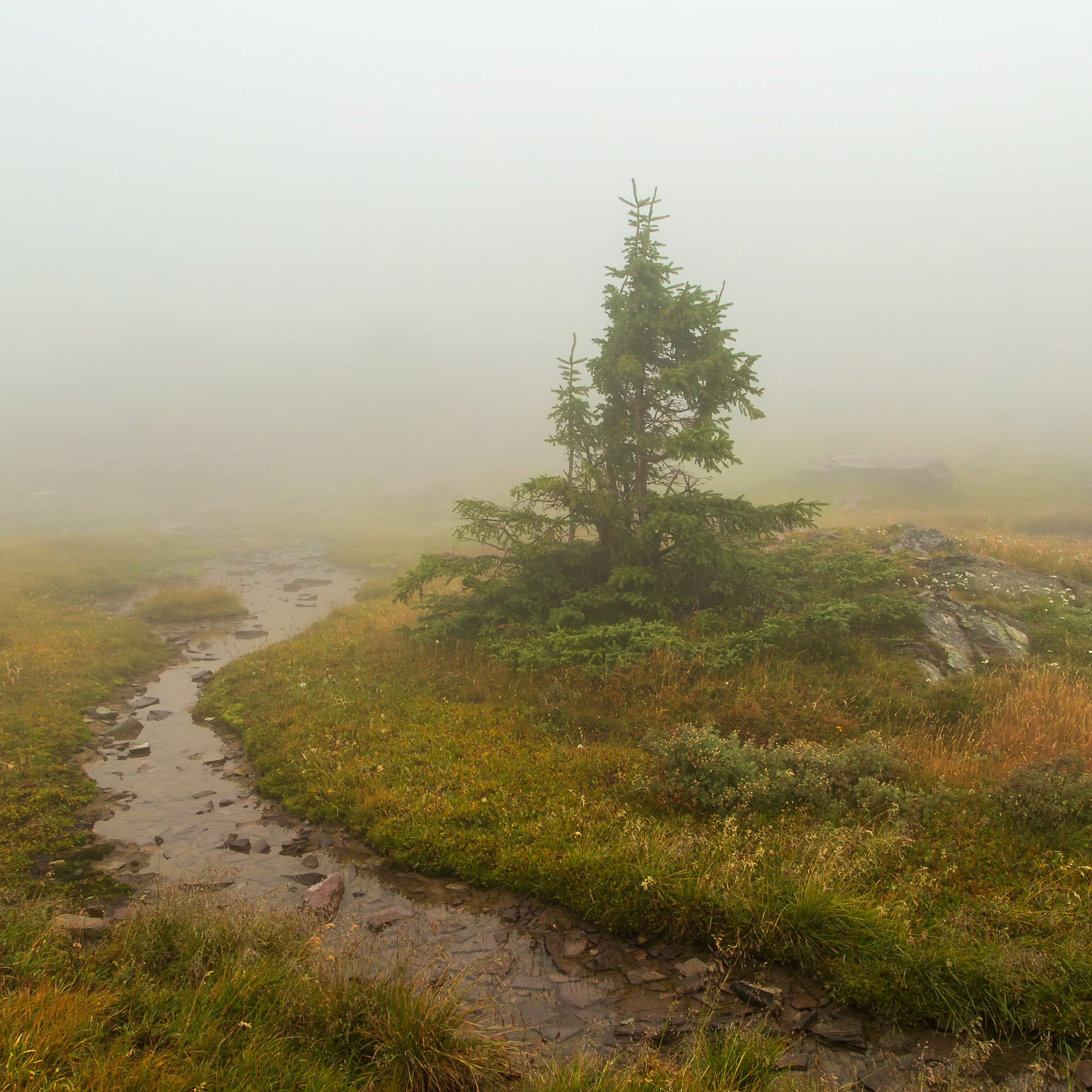 Glacier National Park