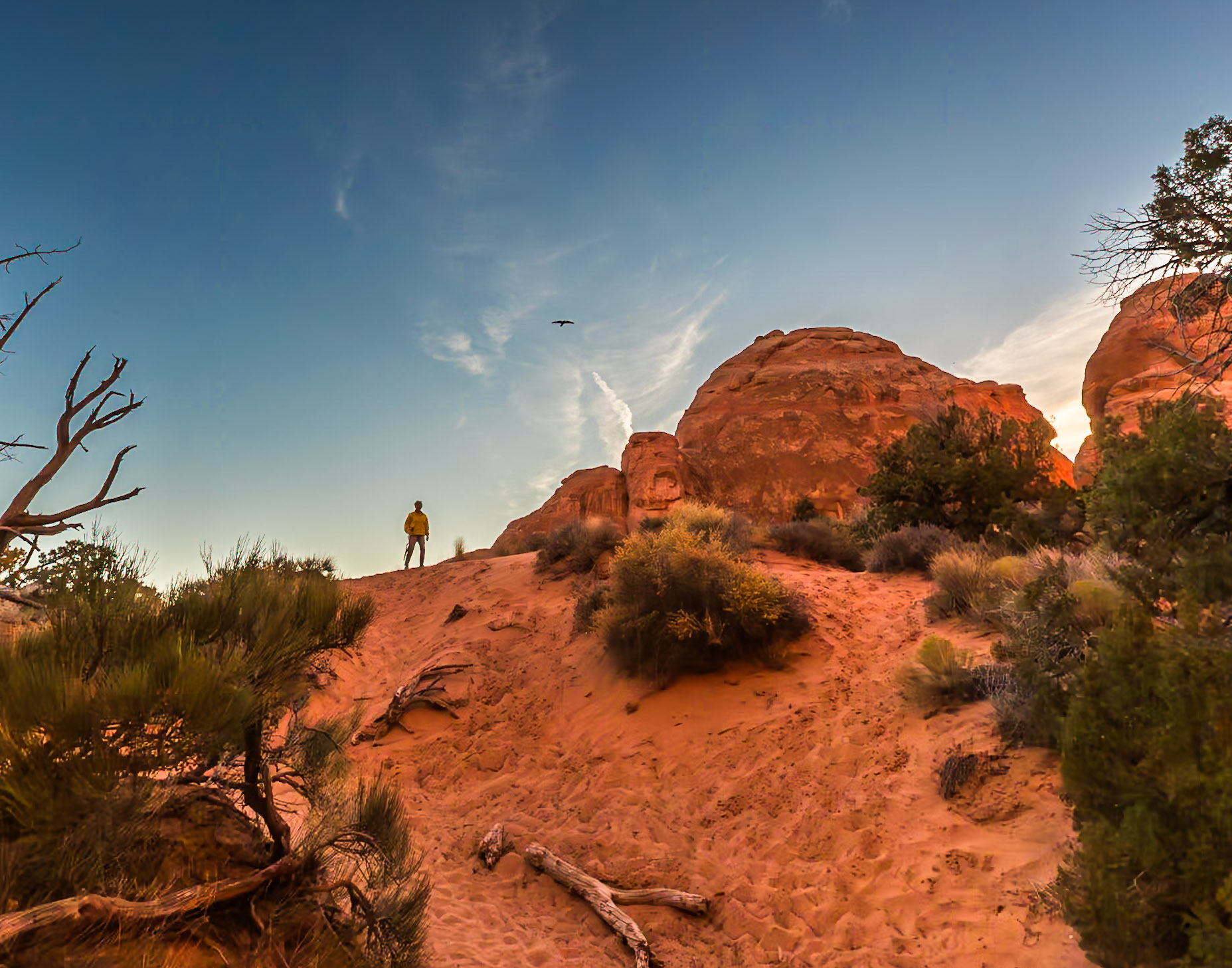 Arches National Park