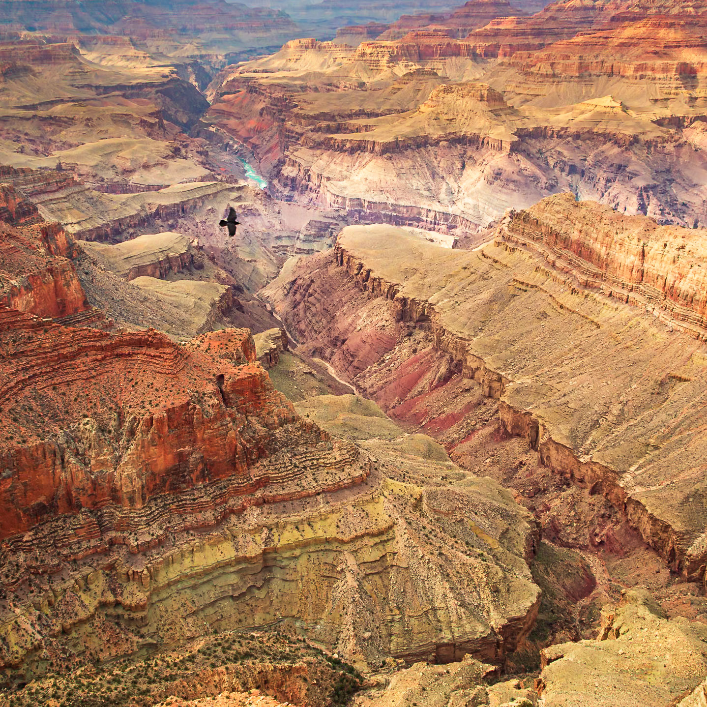 Grand Canyon