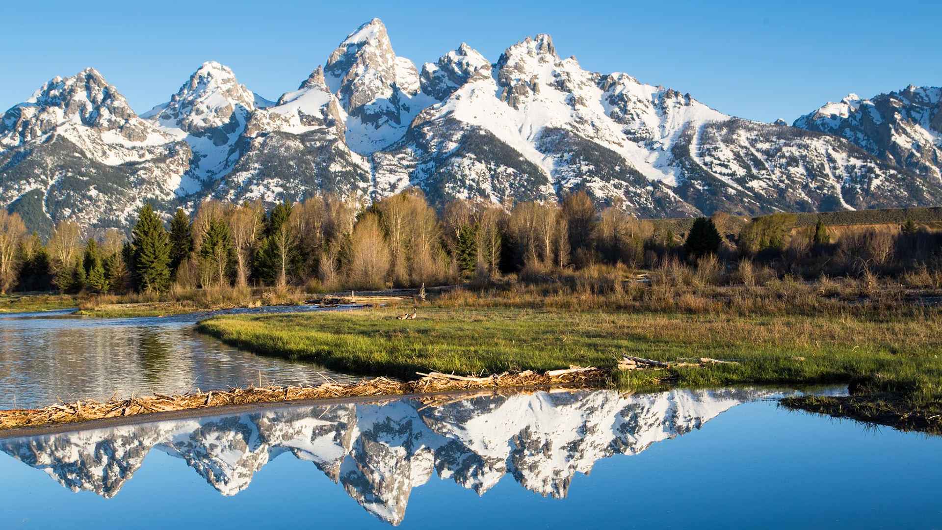 Grand Teton National Park