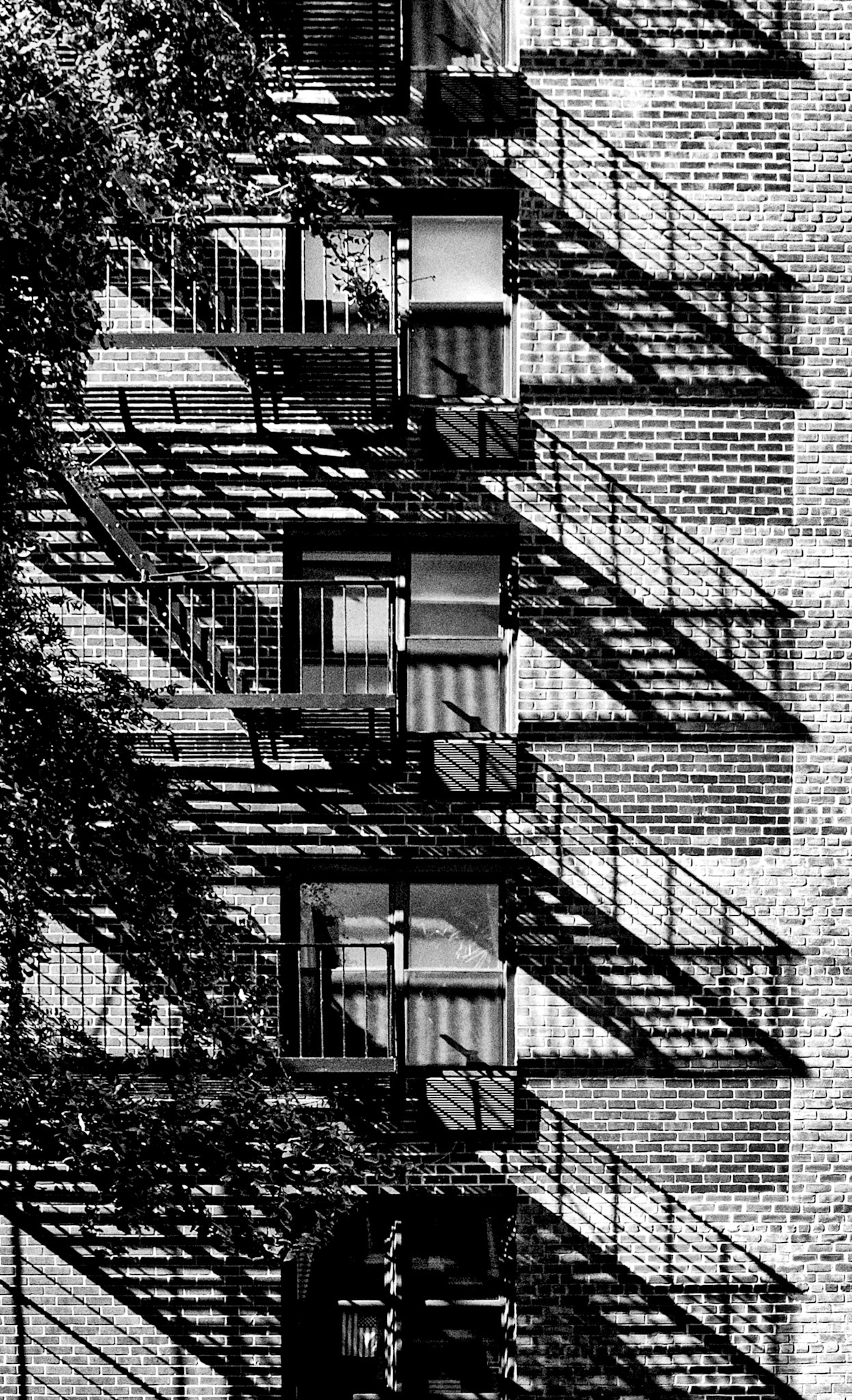 Shadows and Steps