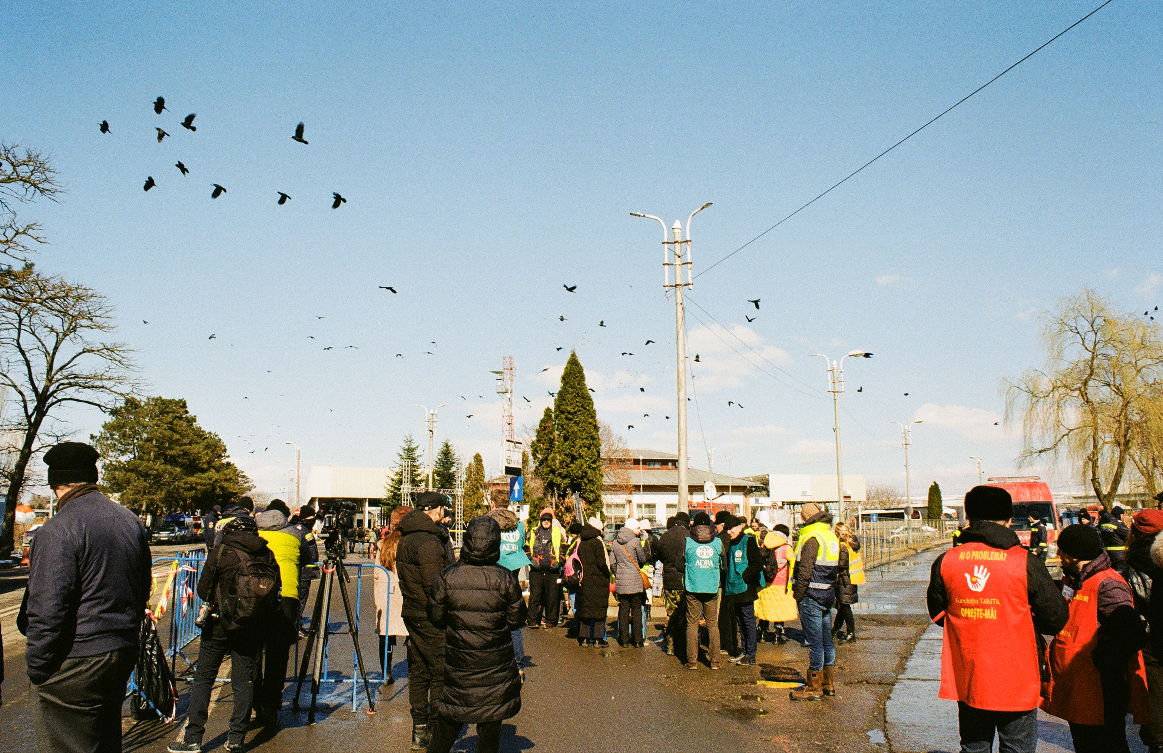 birds in flocks, indicator of changes in the air