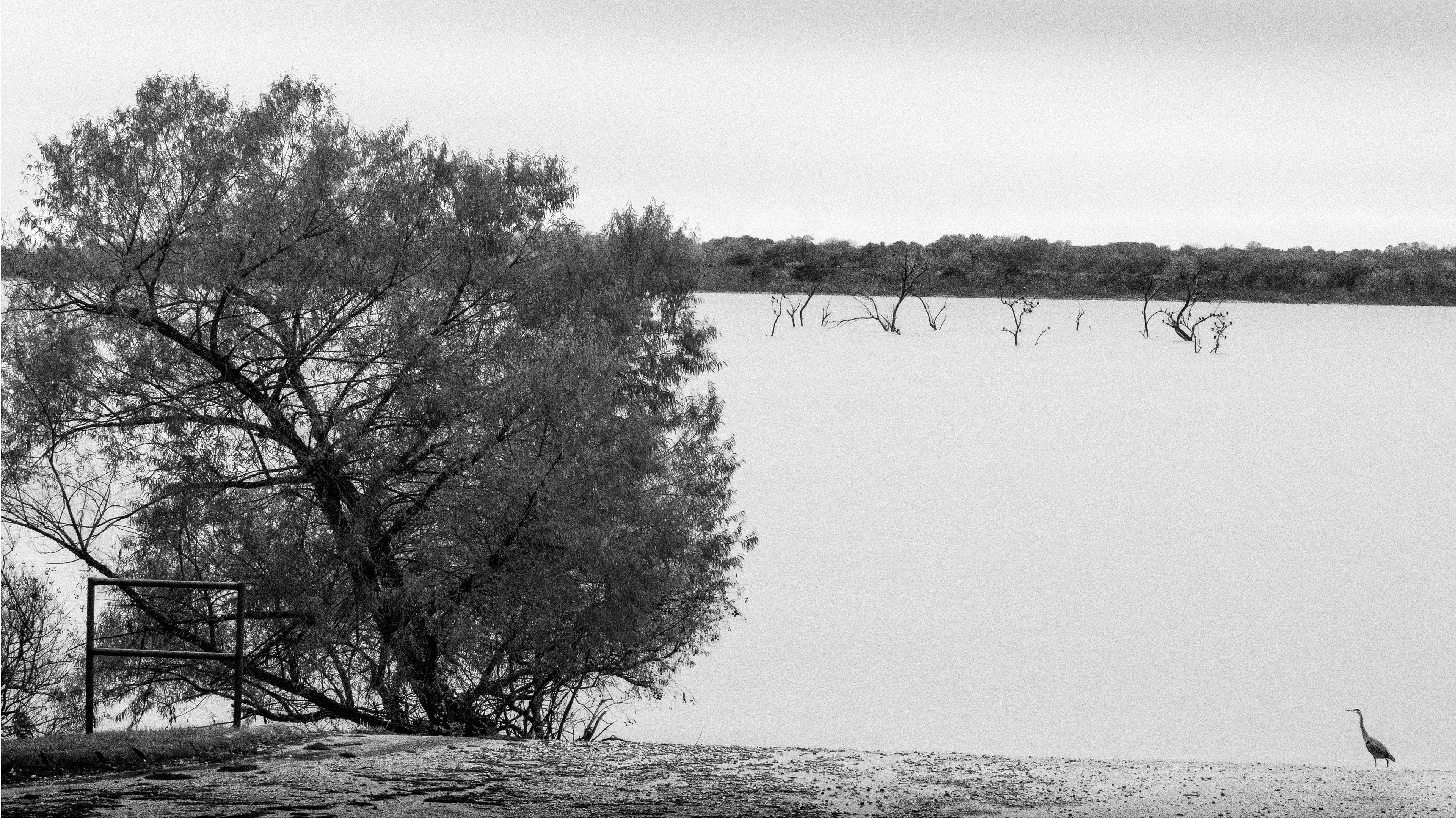 Uncertain, Lake Lavon, Texas