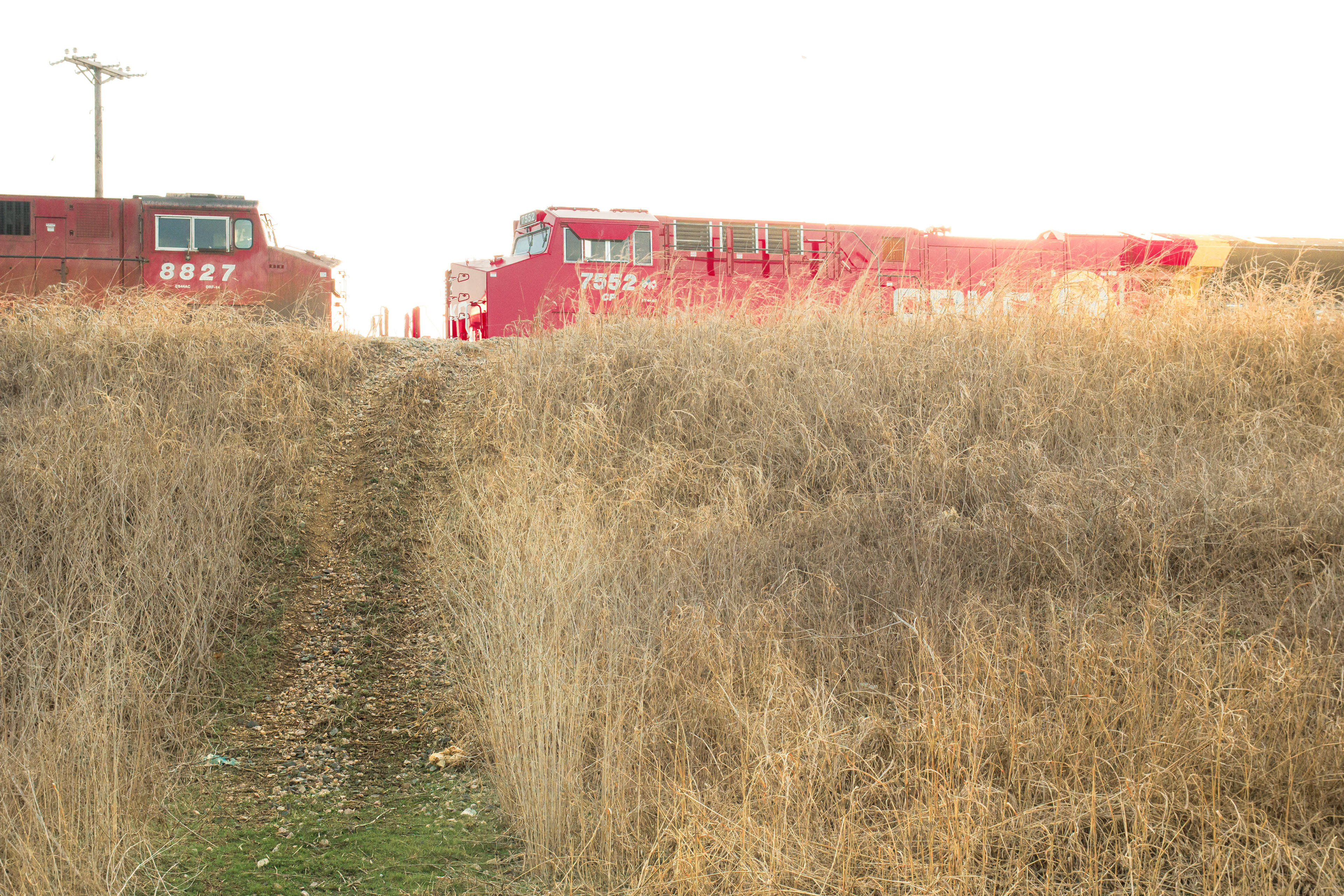 Harmony - Dallas, Texas