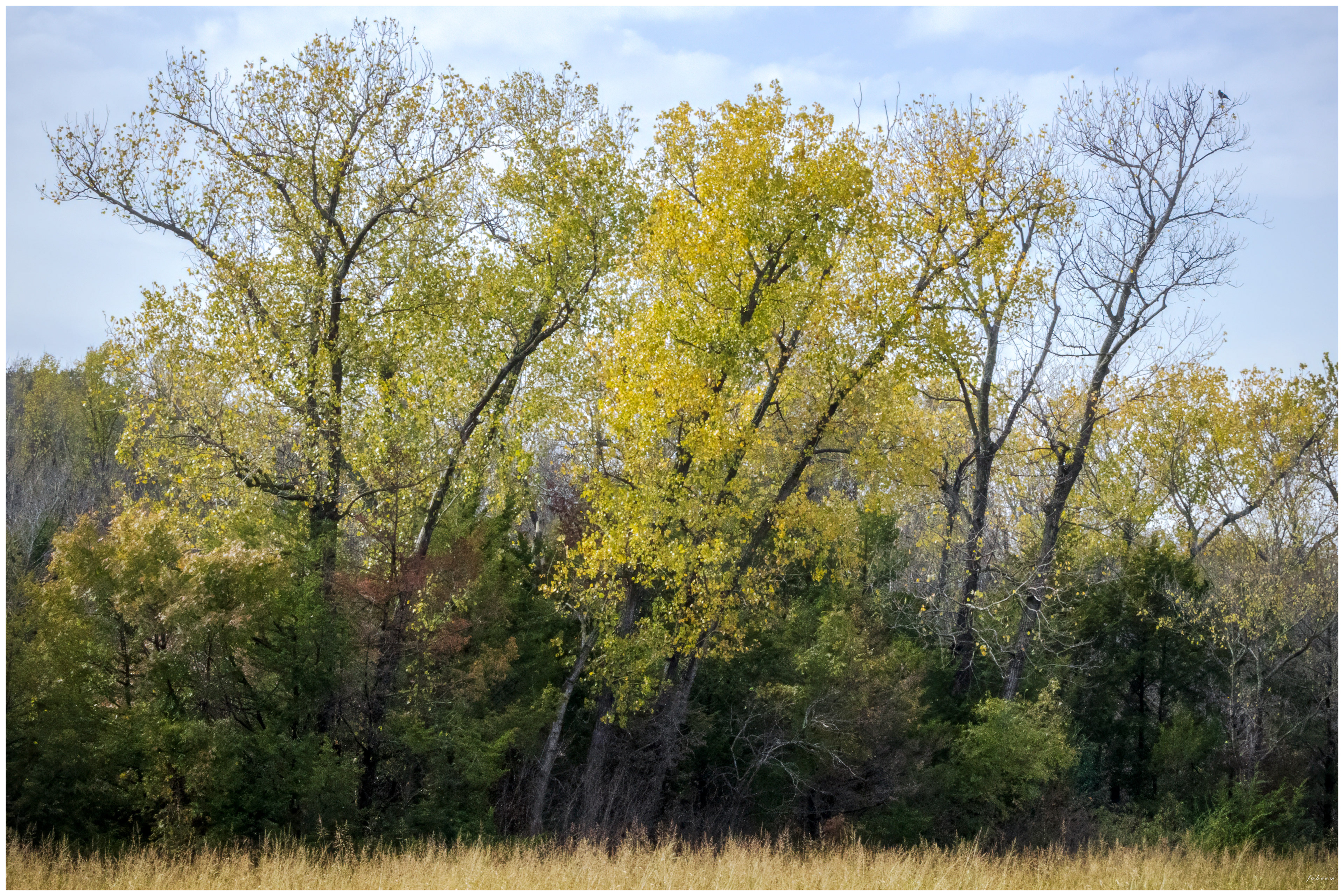 Lake Lavon, Dallas, Texas