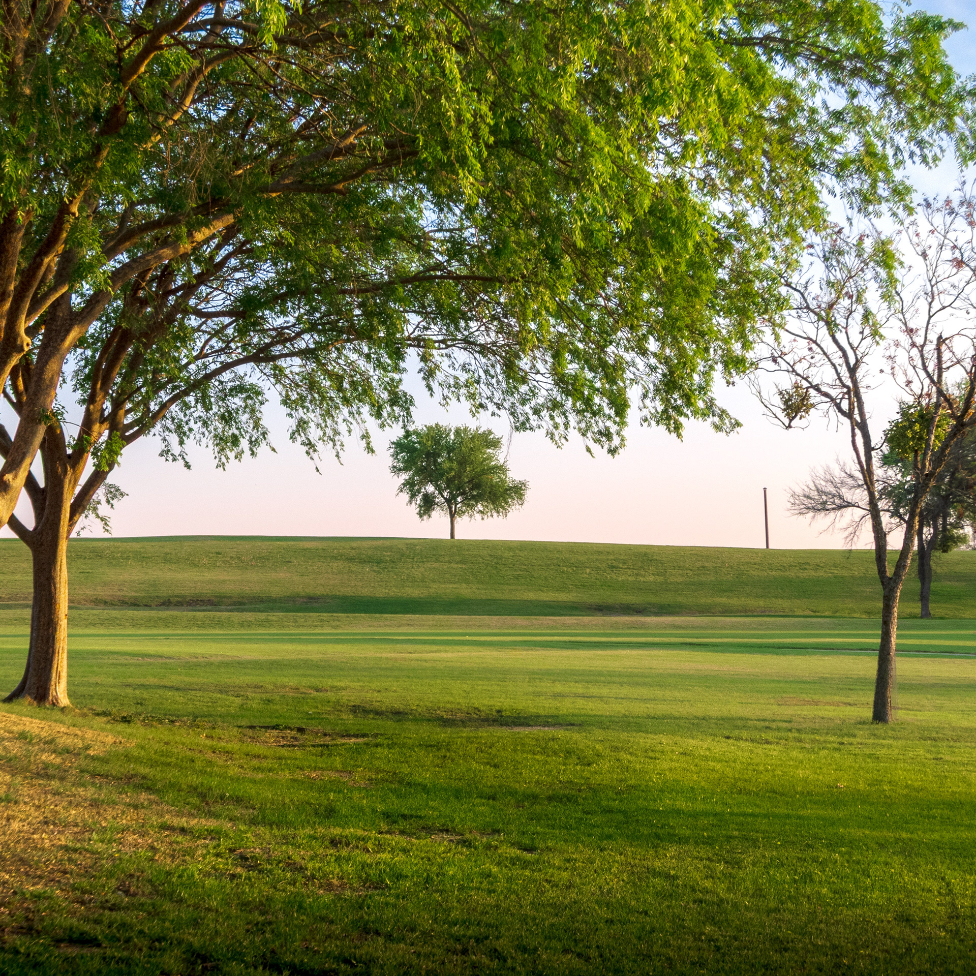 Spring 2026 - Richardson, Texas